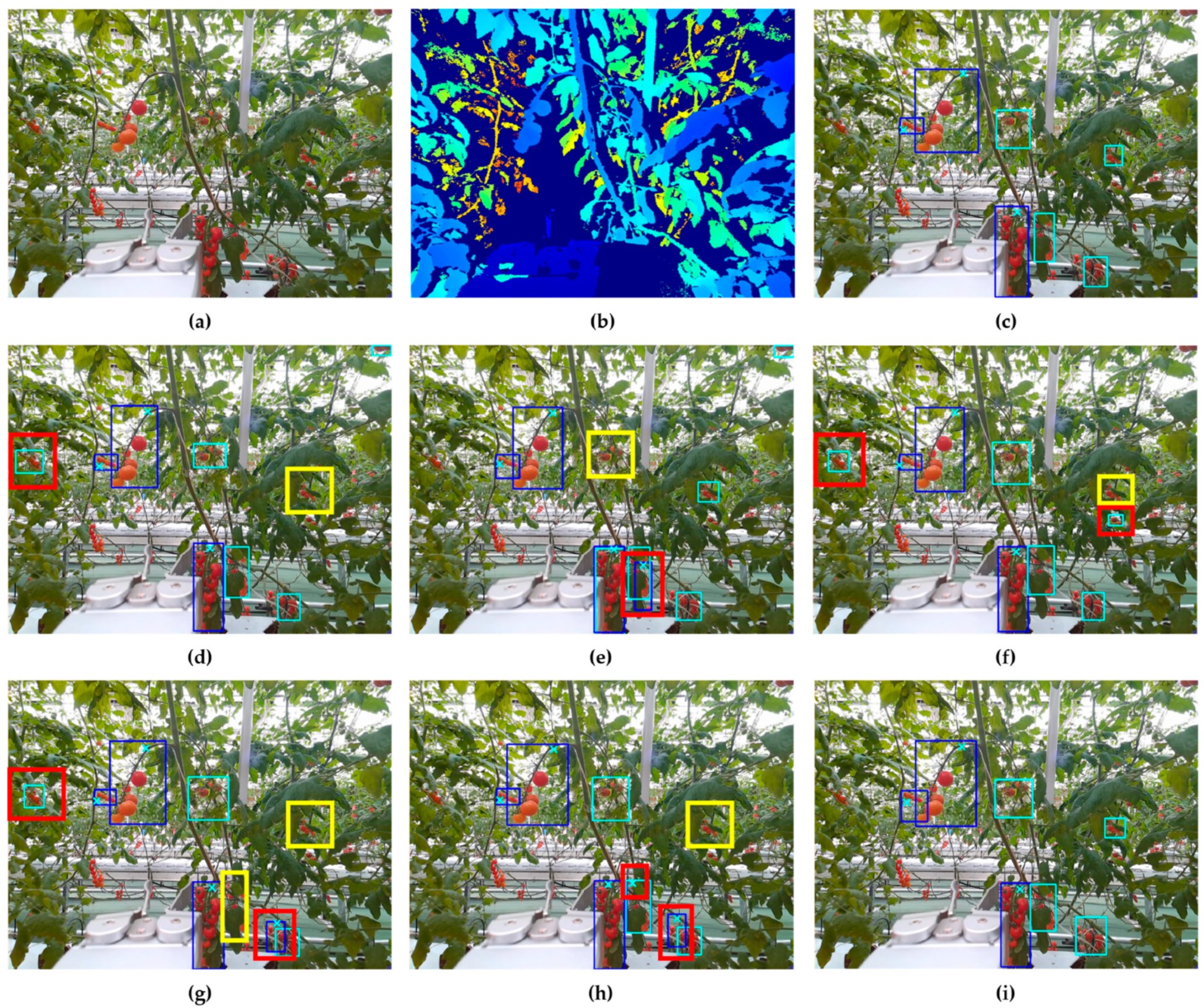 Horticulturae 11 00949 g007 Horticulturae 11 00949 g007