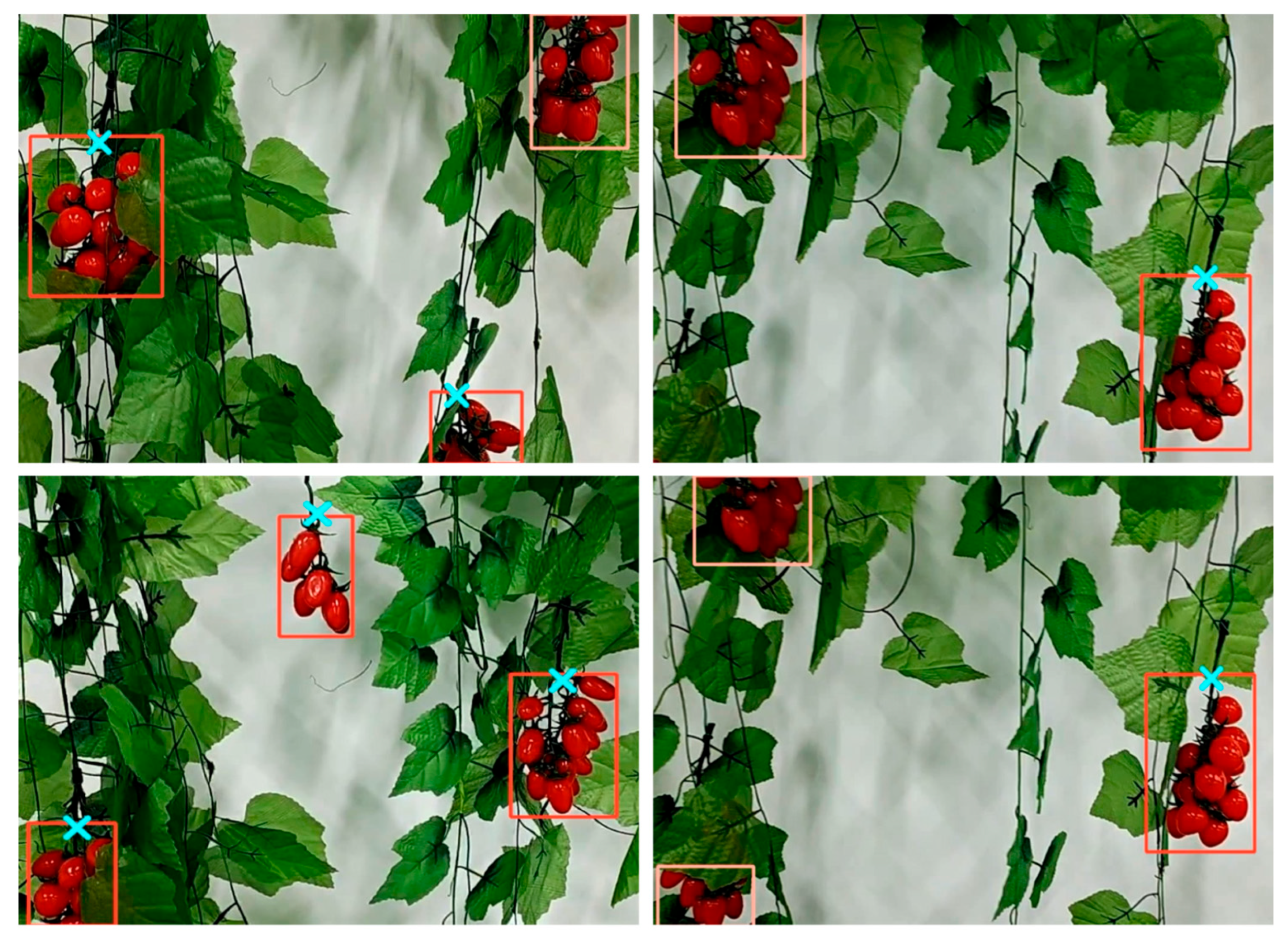 Horticulturae 11 00949 g008 Horticulturae 11 00949 g008