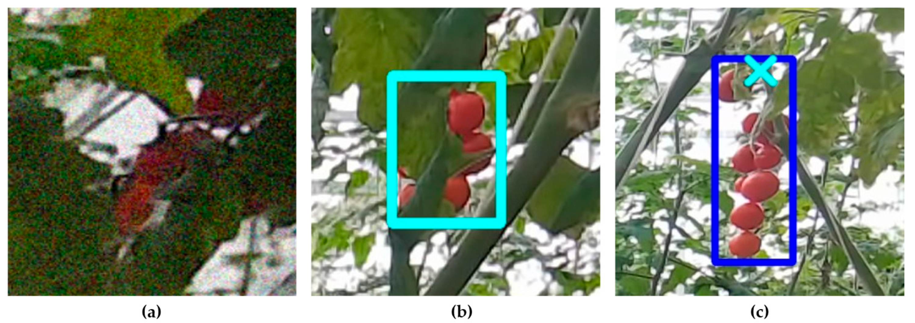 Horticulturae 11 00949 g009 Horticulturae 11 00949 g009