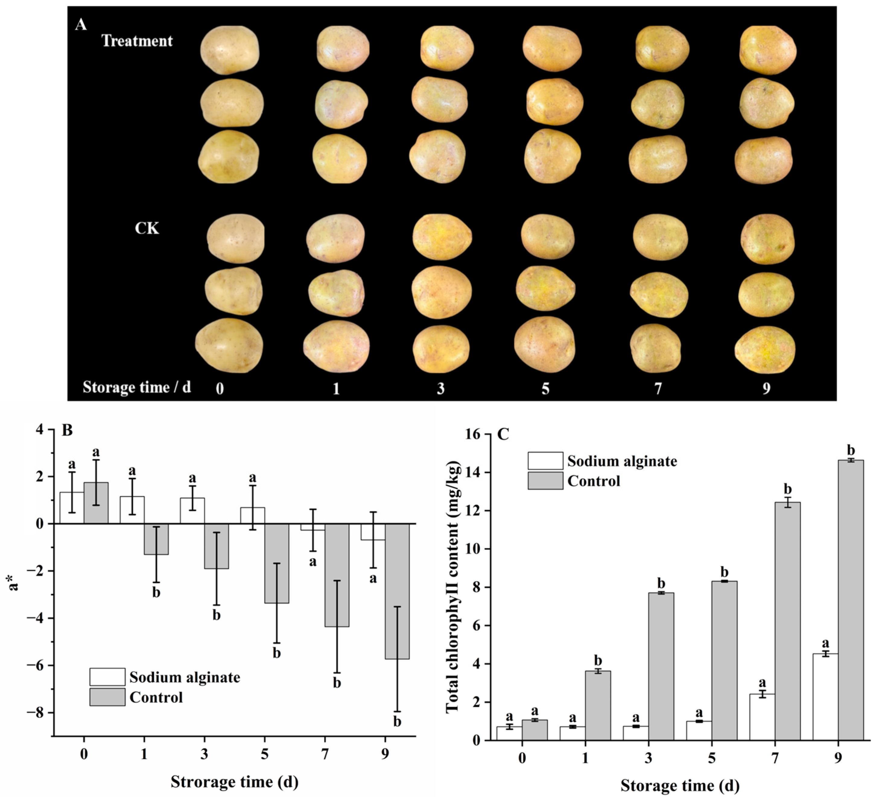 Horticulturae 11 00950 g001