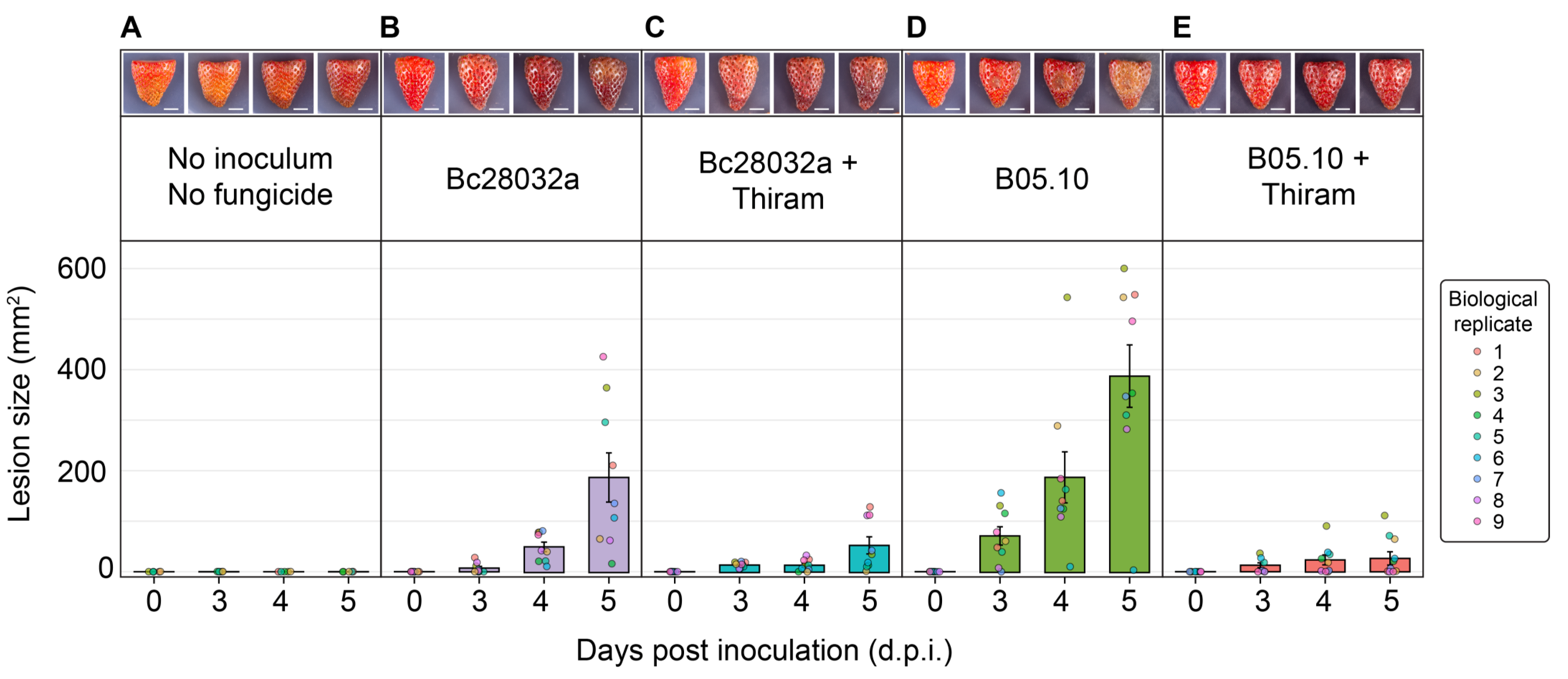 Horticulturae 11 00954 g006 Horticulturae 11 00954 g006