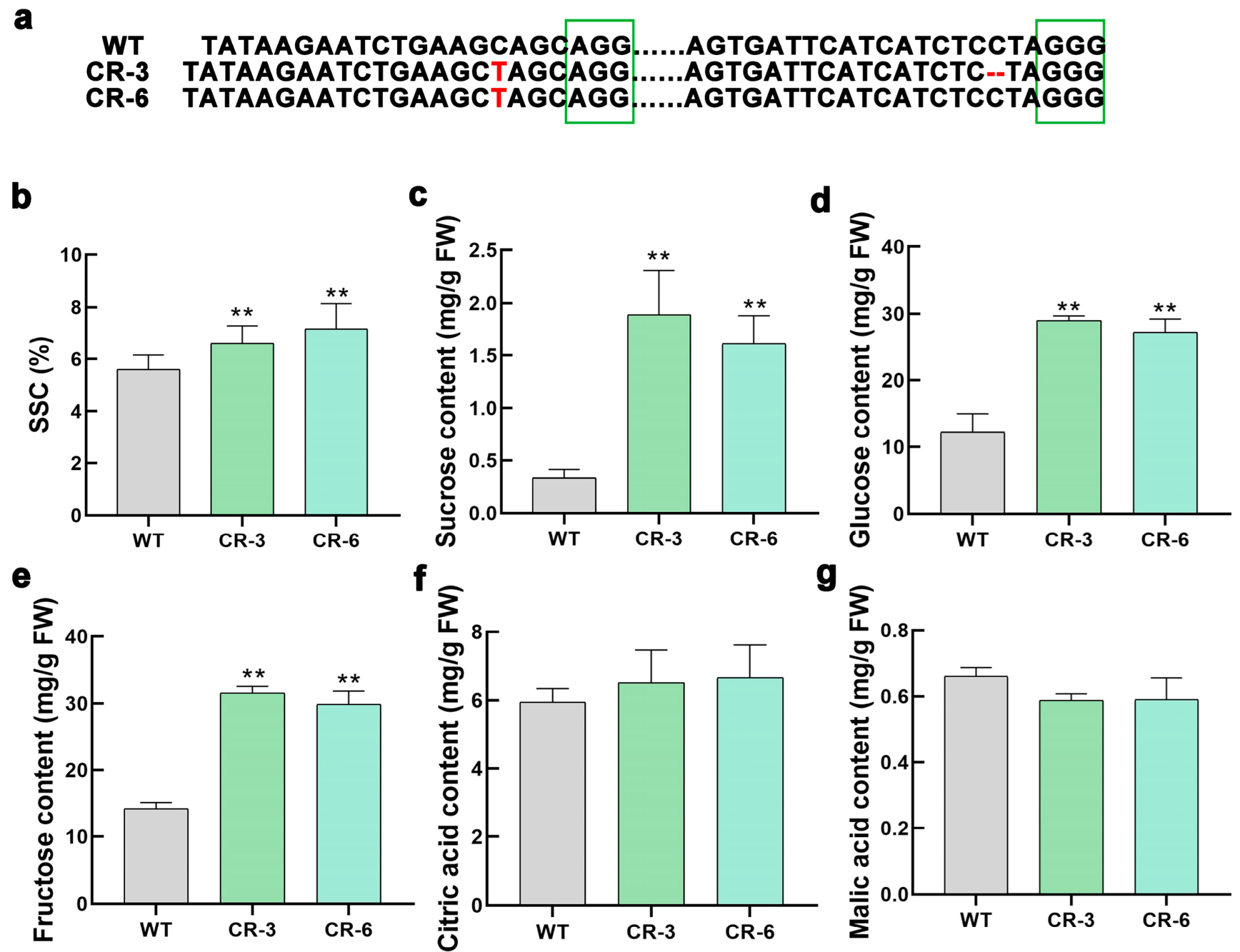 Horticulturae 11 00956 g002 Horticulturae 11 00956 g002
