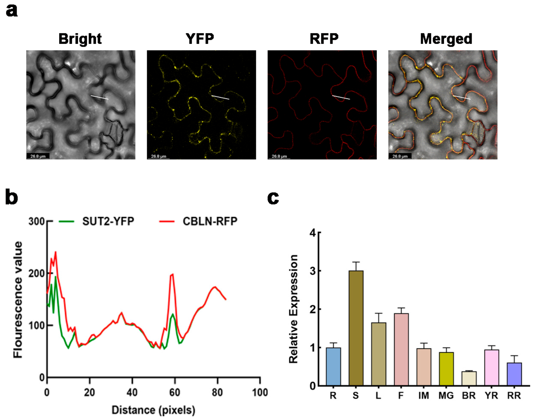 Horticulturae 11 00956 g003 Horticulturae 11 00956 g003