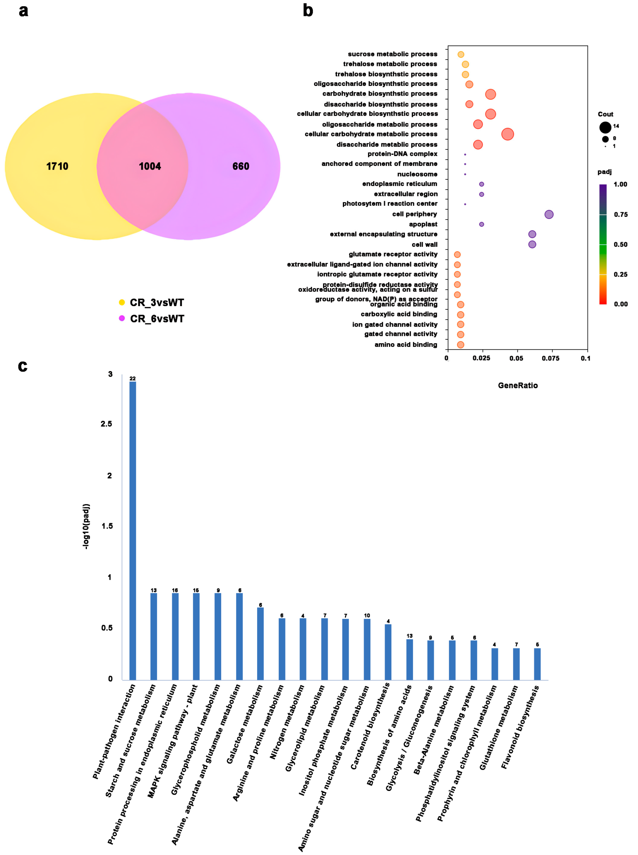 Horticulturae 11 00956 g005 Horticulturae 11 00956 g005