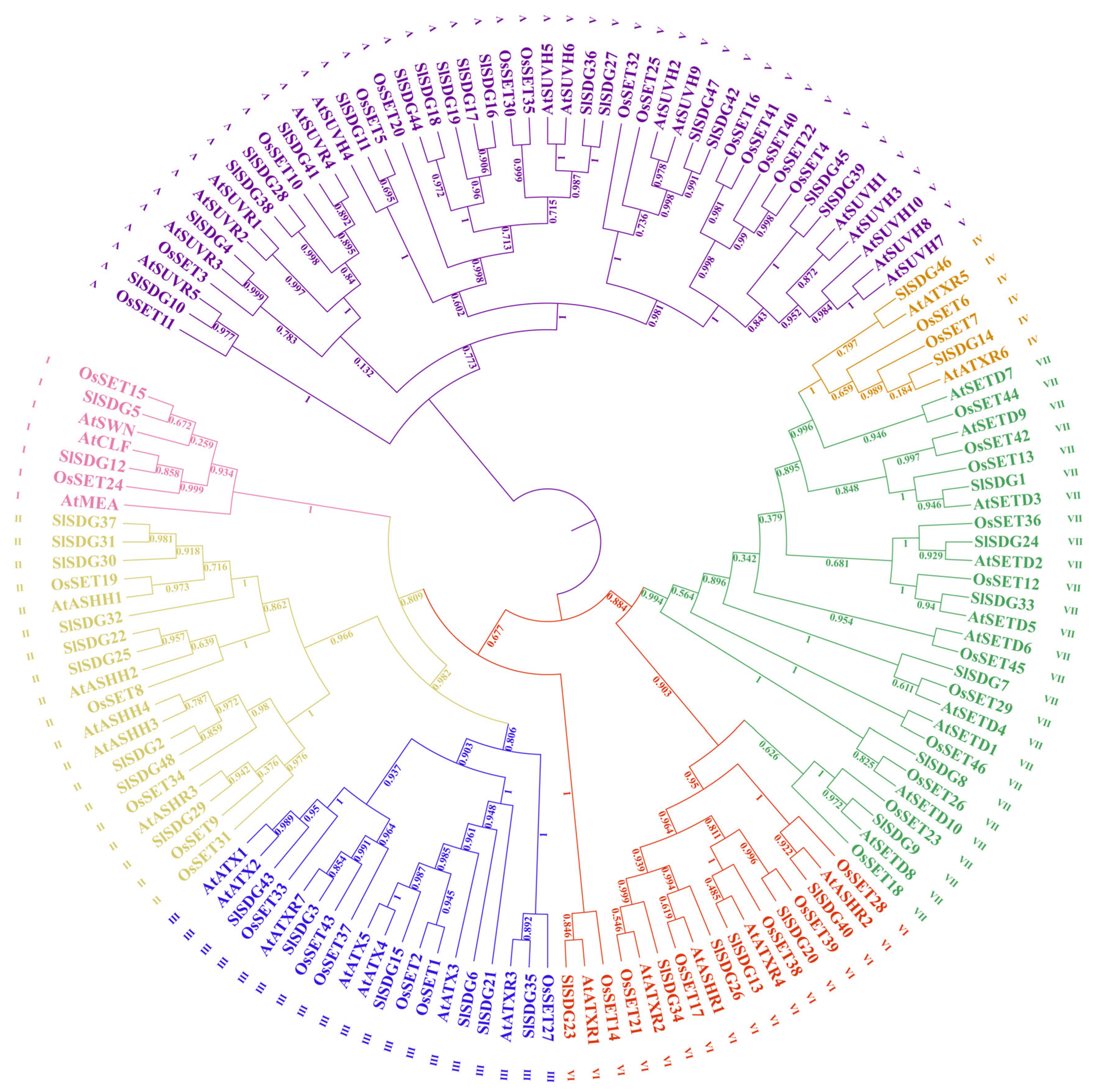 Horticulturae 11 00958 g001 Horticulturae 11 00958 g001