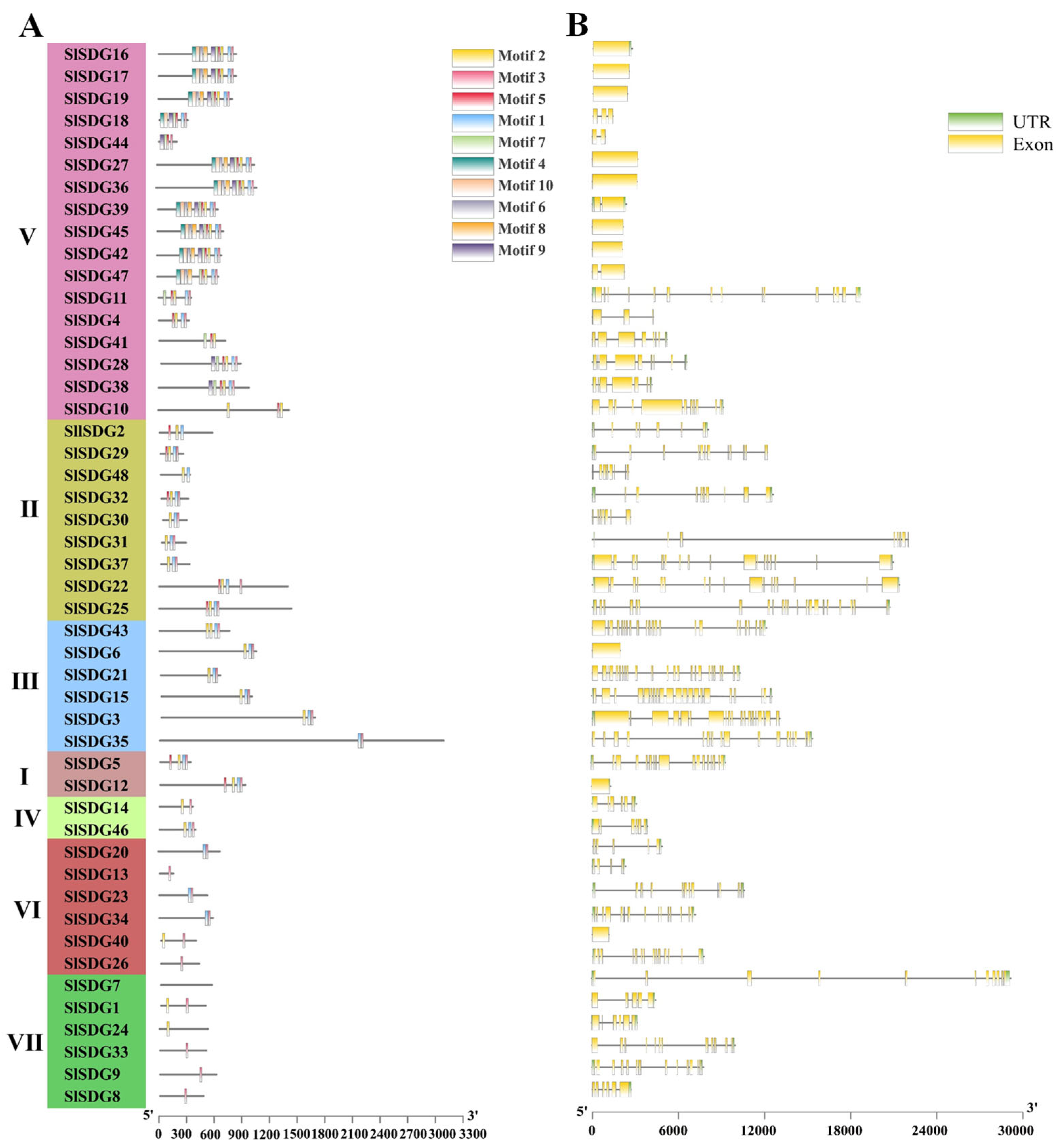 Horticulturae 11 00958 g002 Horticulturae 11 00958 g002