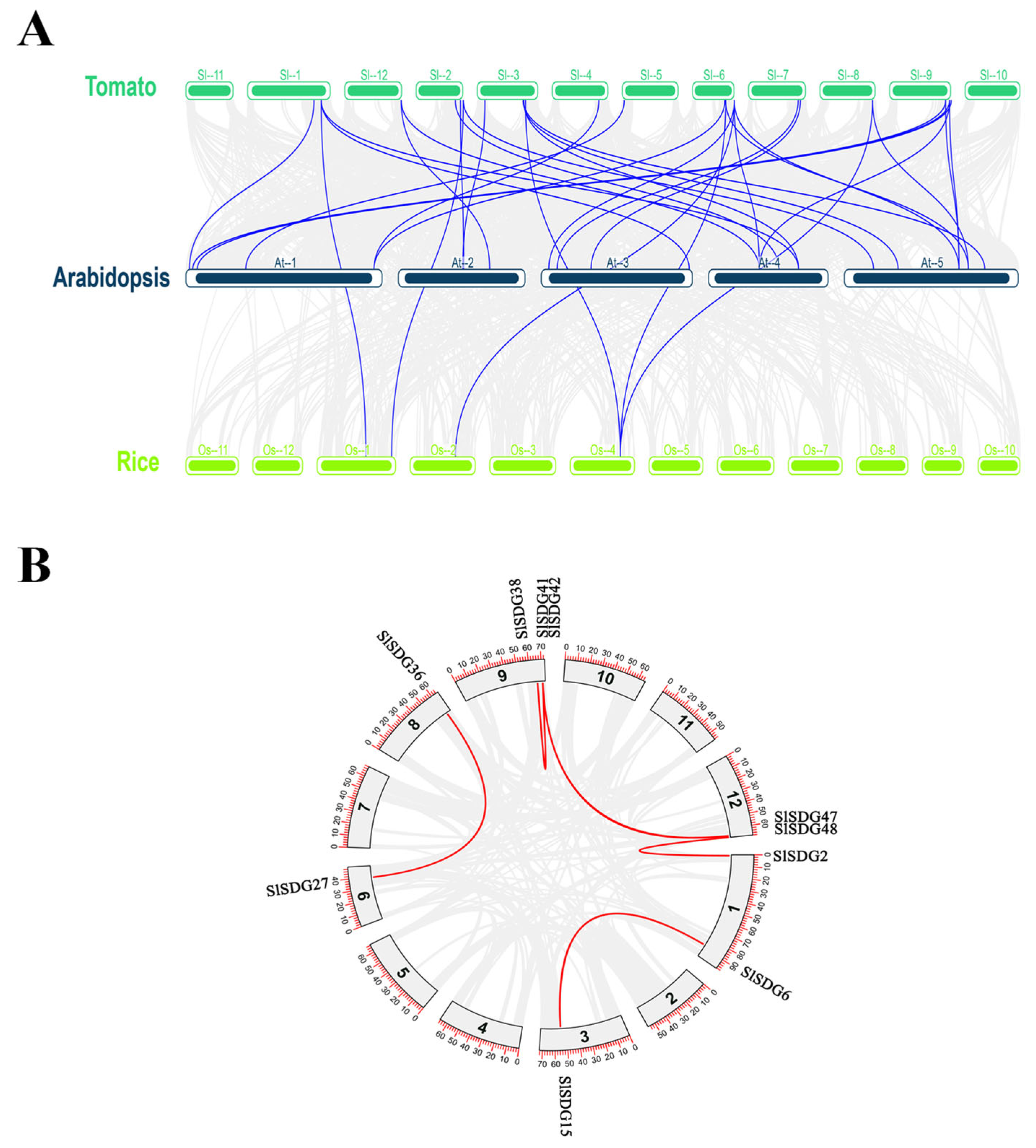 Horticulturae 11 00958 g003 Horticulturae 11 00958 g003