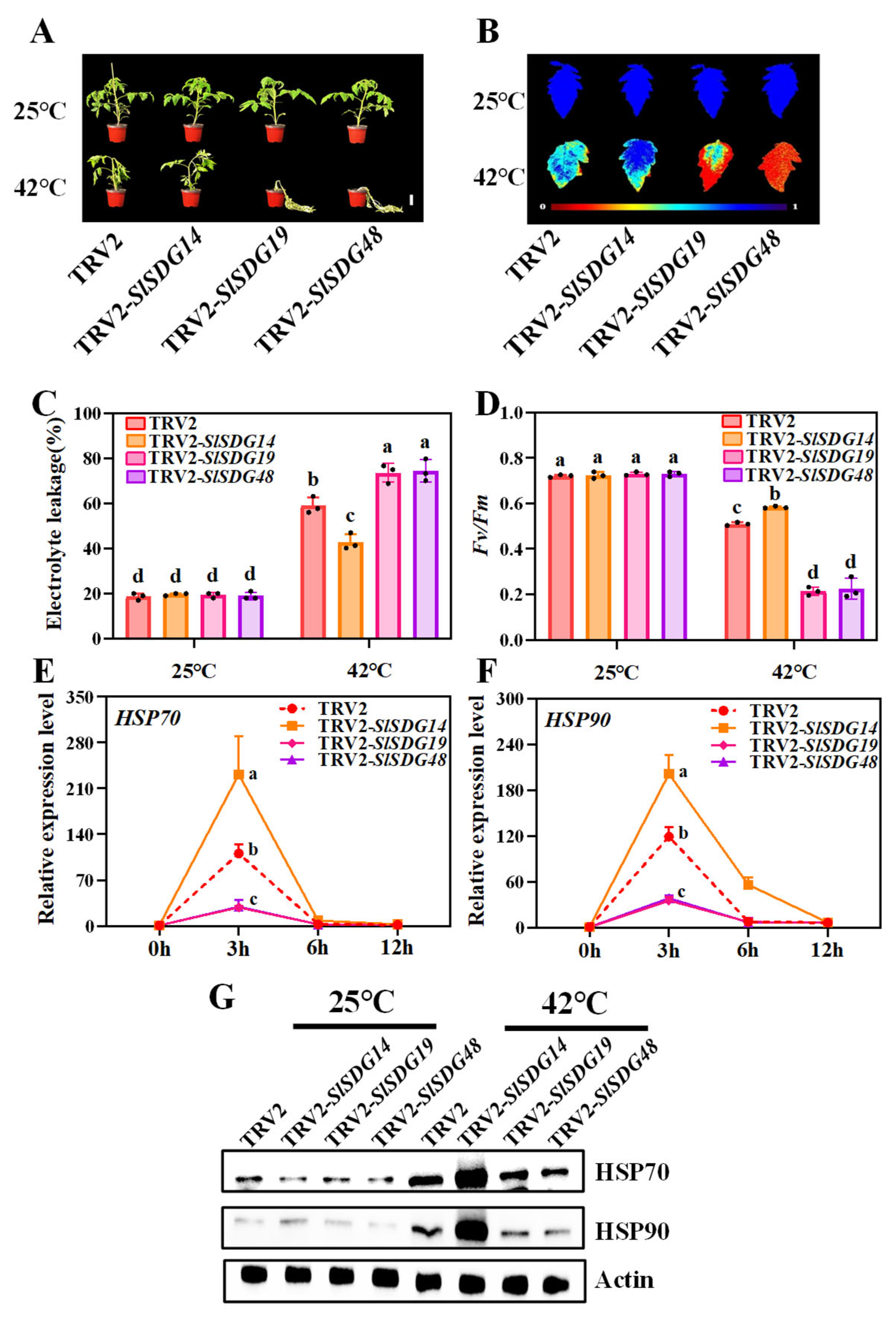Horticulturae 11 00958 g006 Horticulturae 11 00958 g006