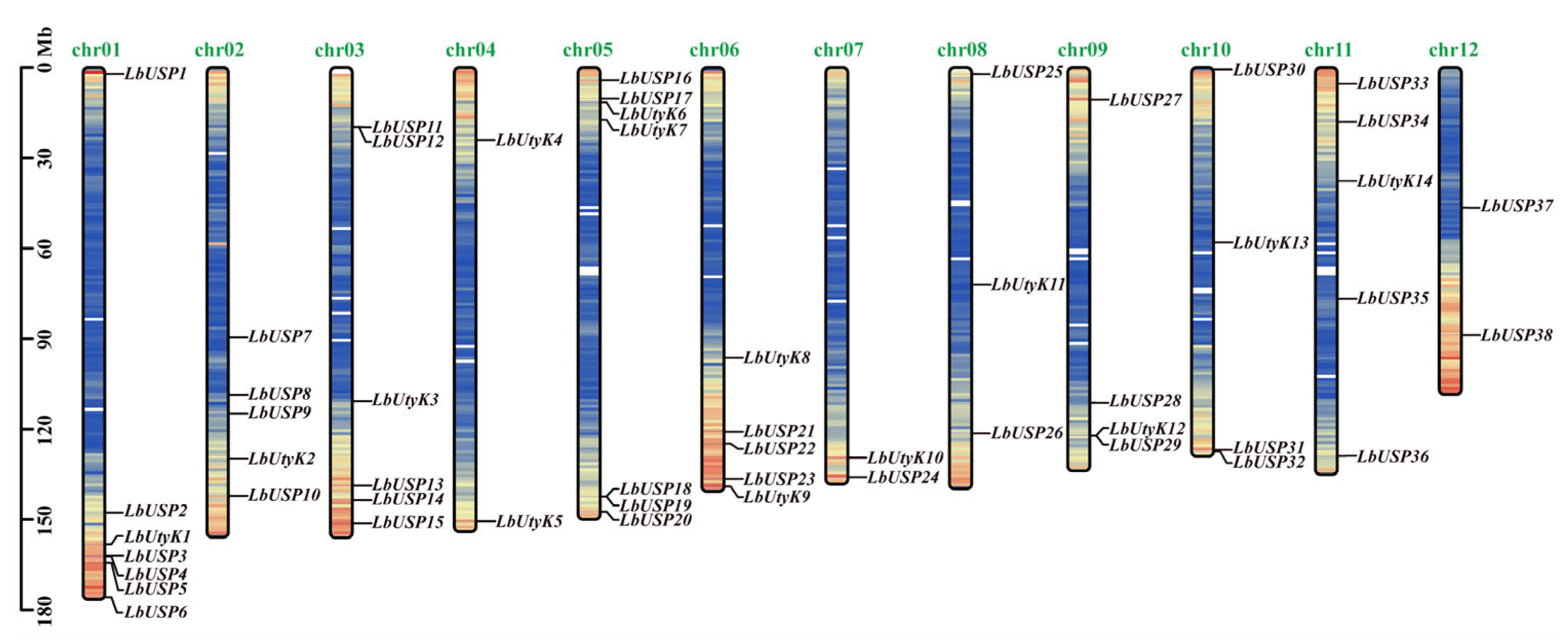 Horticulturae 11 00960 g001