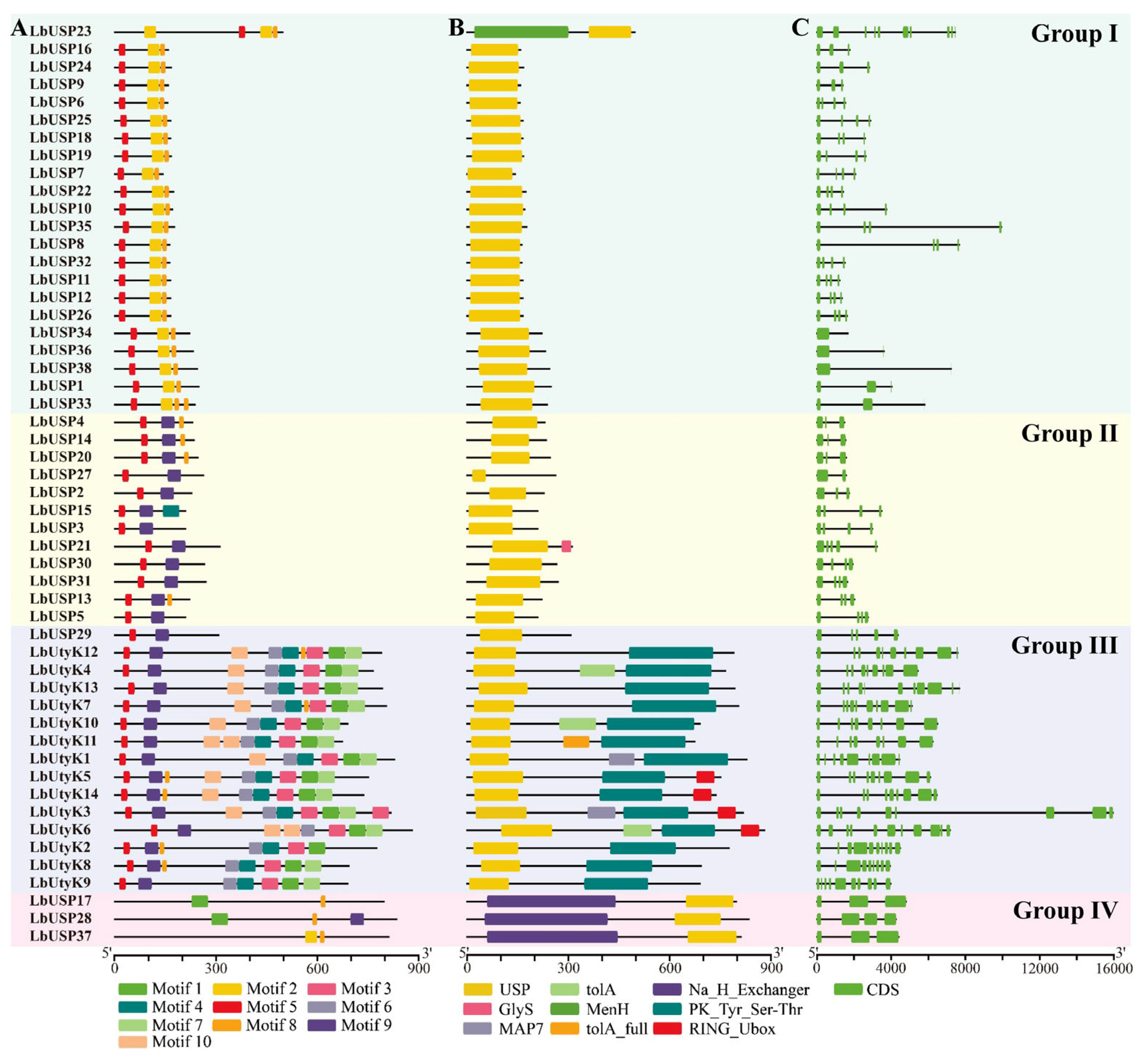 Horticulturae 11 00960 g003