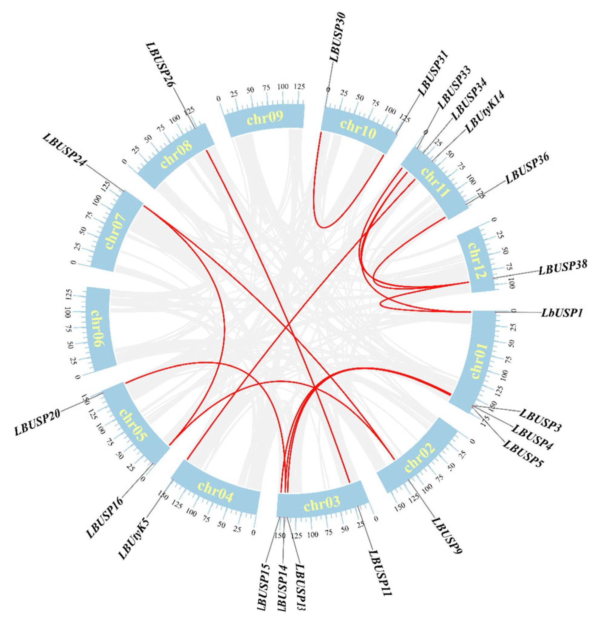 Horticulturae 11 00960 g004