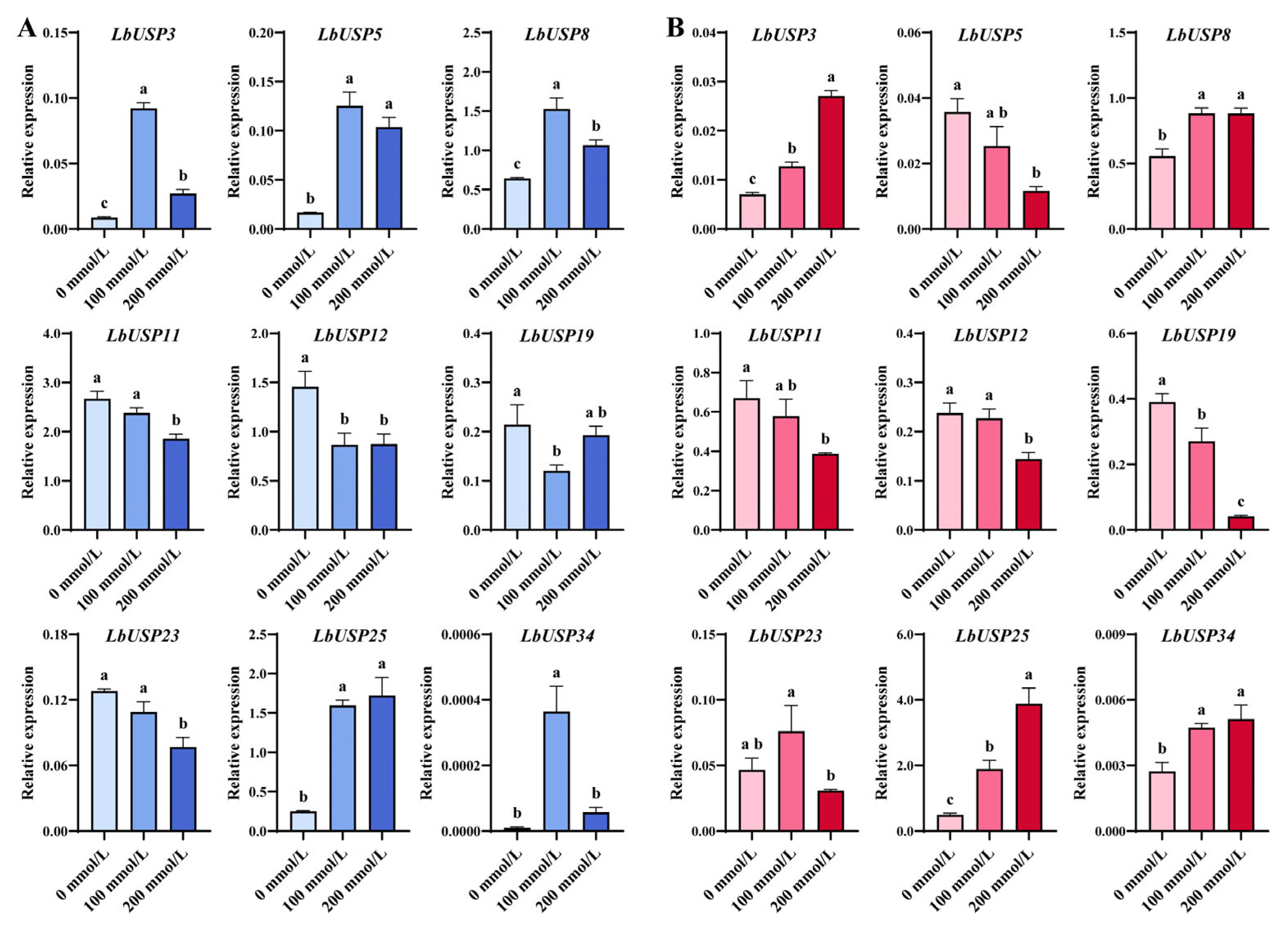 Horticulturae 11 00960 g008