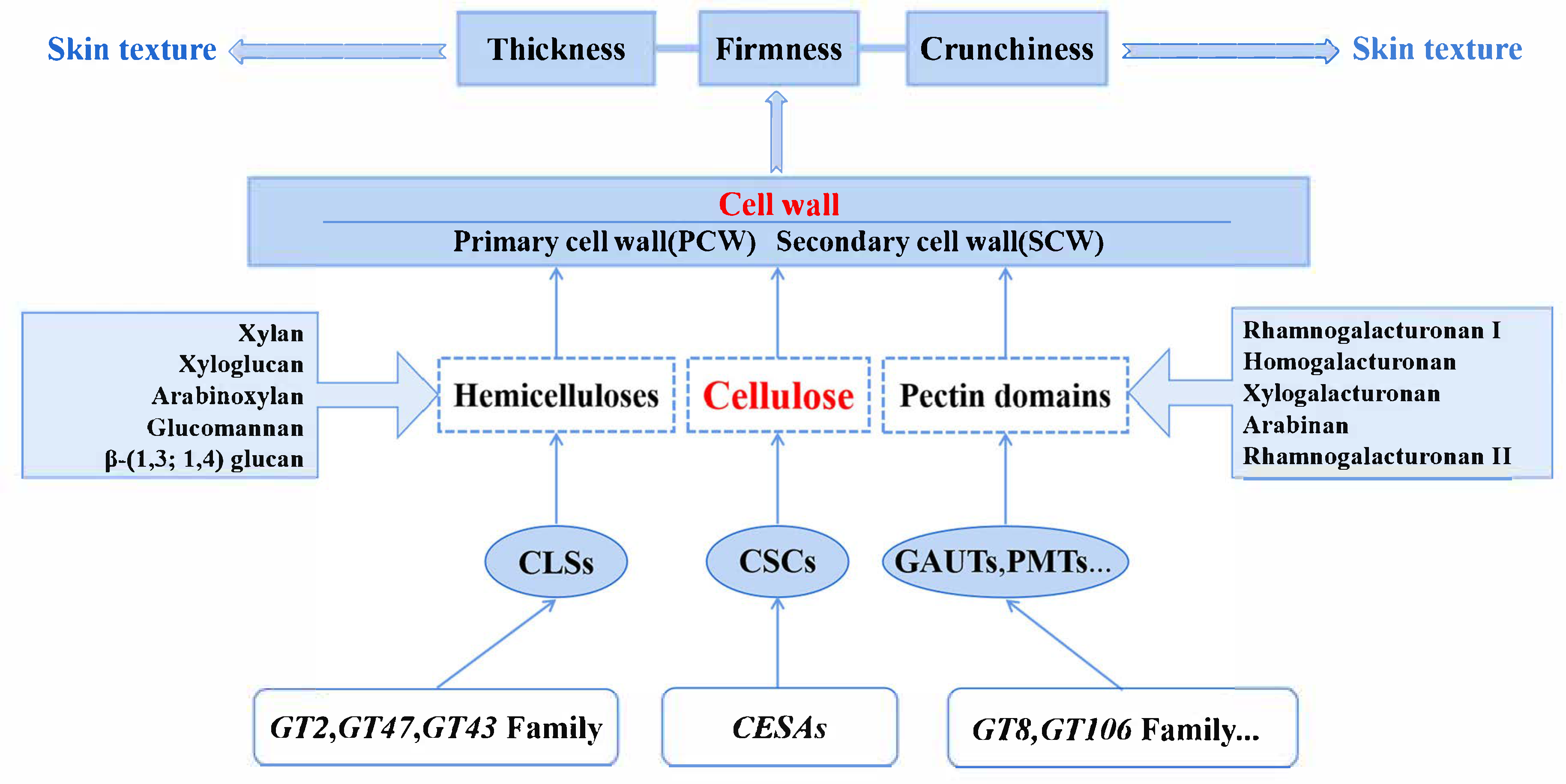 Horticulturae 11 00962 g002