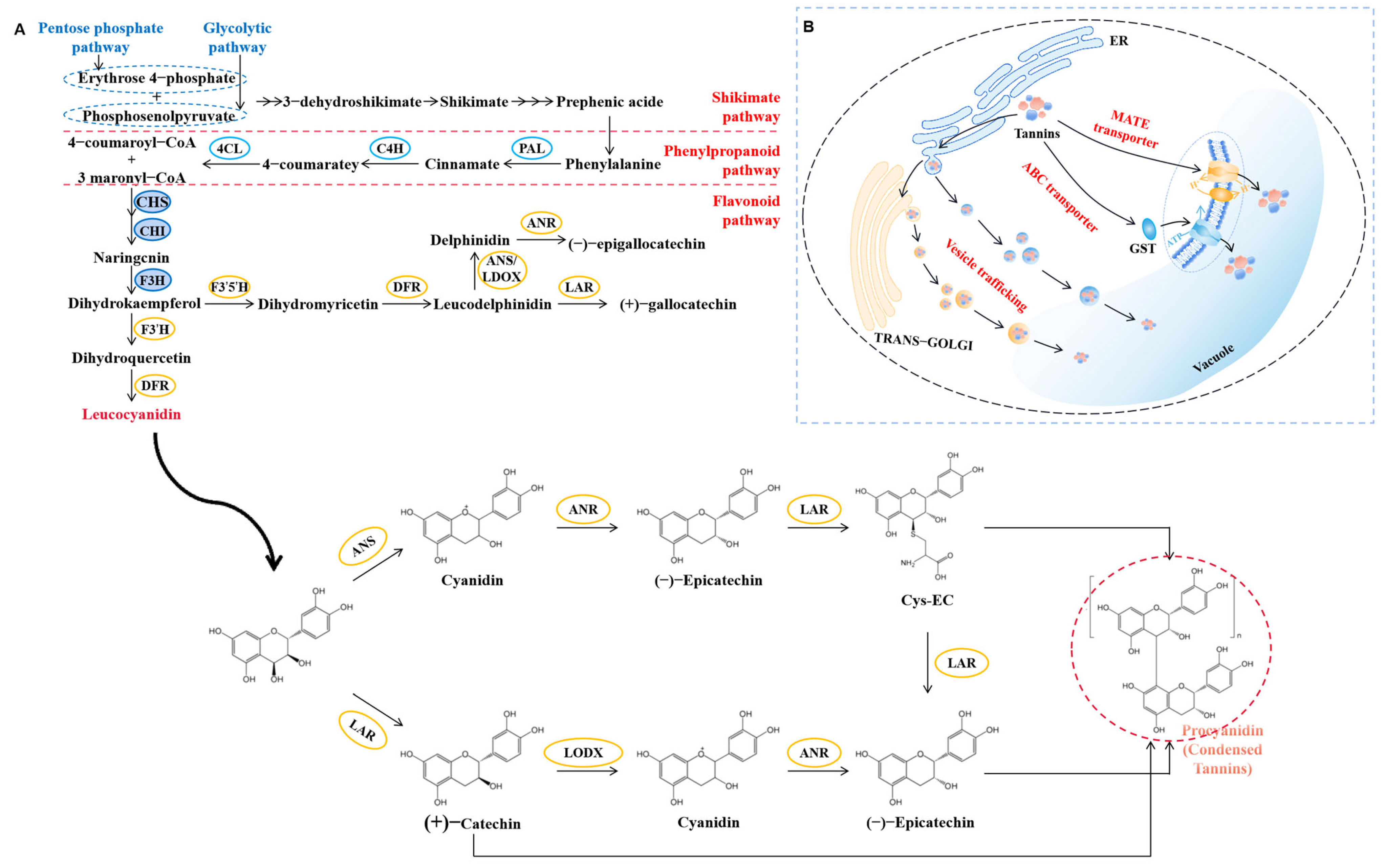 Horticulturae 11 00962 g004