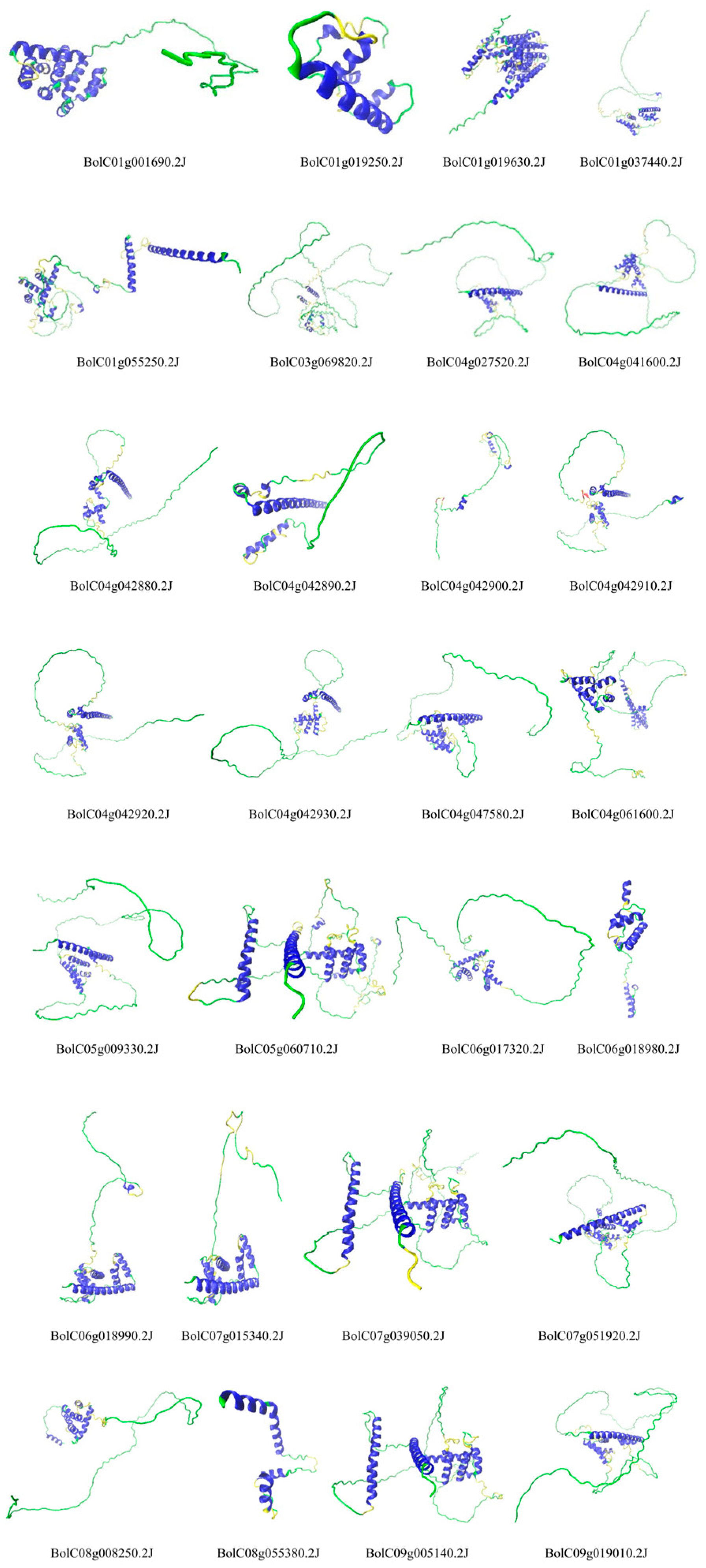 Horticulturae 11 00968 g004