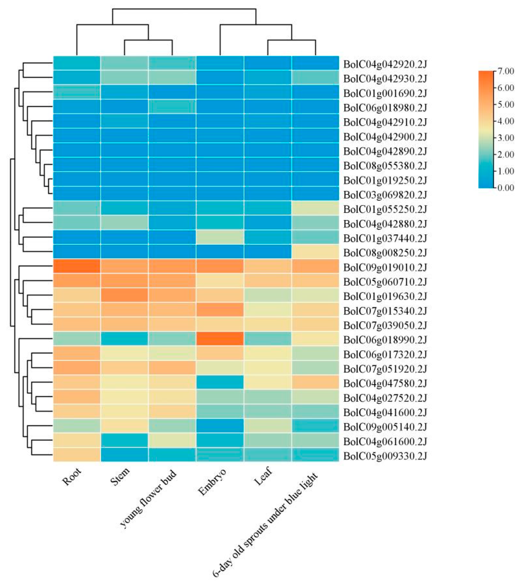 Horticulturae 11 00968 g009