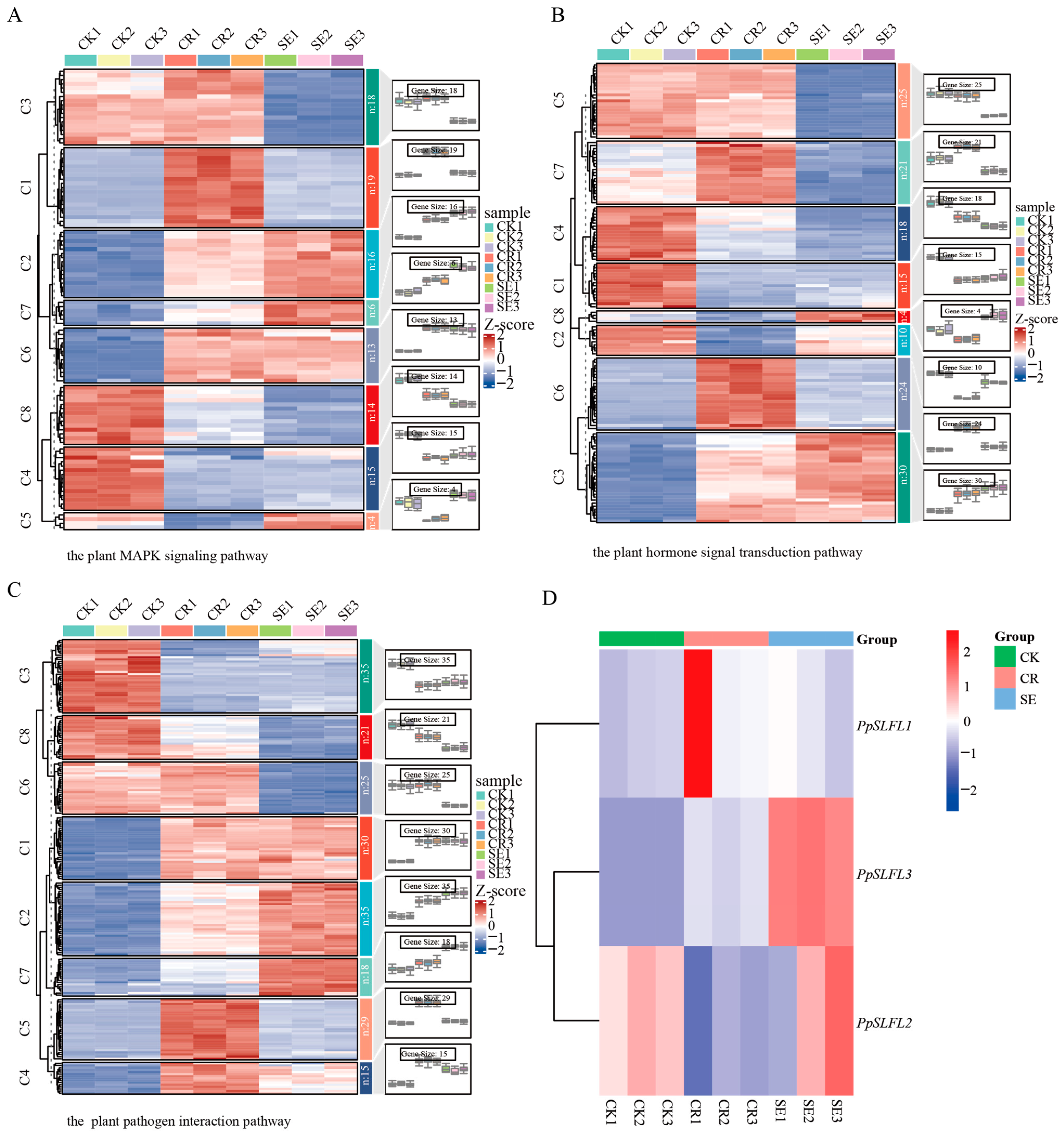 Horticulturae 11 00969 g005