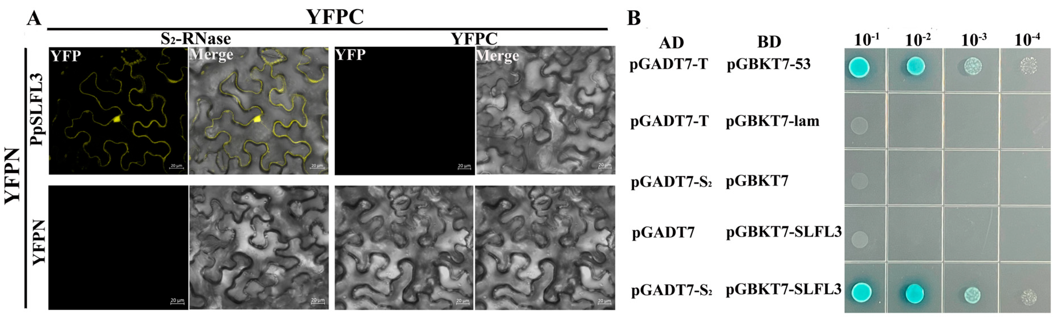Horticulturae 11 00969 g007