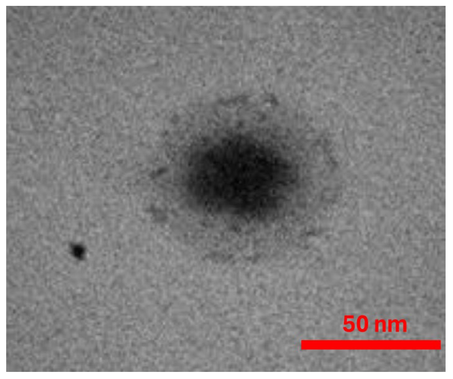 Horticulturae 11 00970 g001