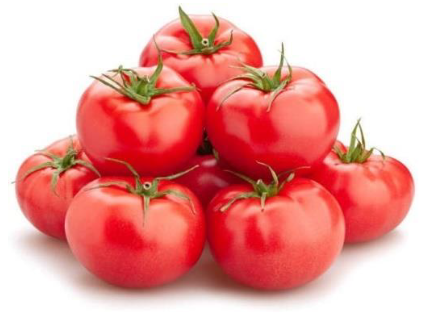 Horticulturae 11 00971 g001