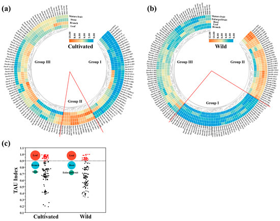 Domestication Has Reshaped Gene Families, Gene Expressions and