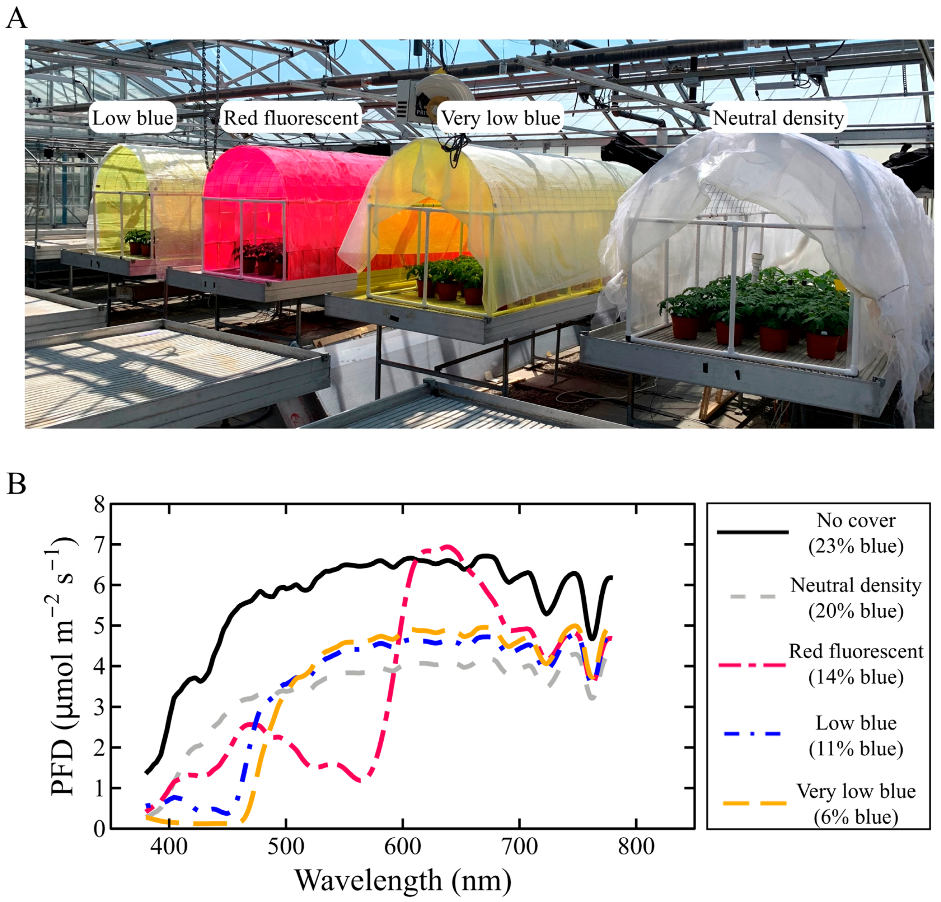 Horticulturae 11 00980 g001
