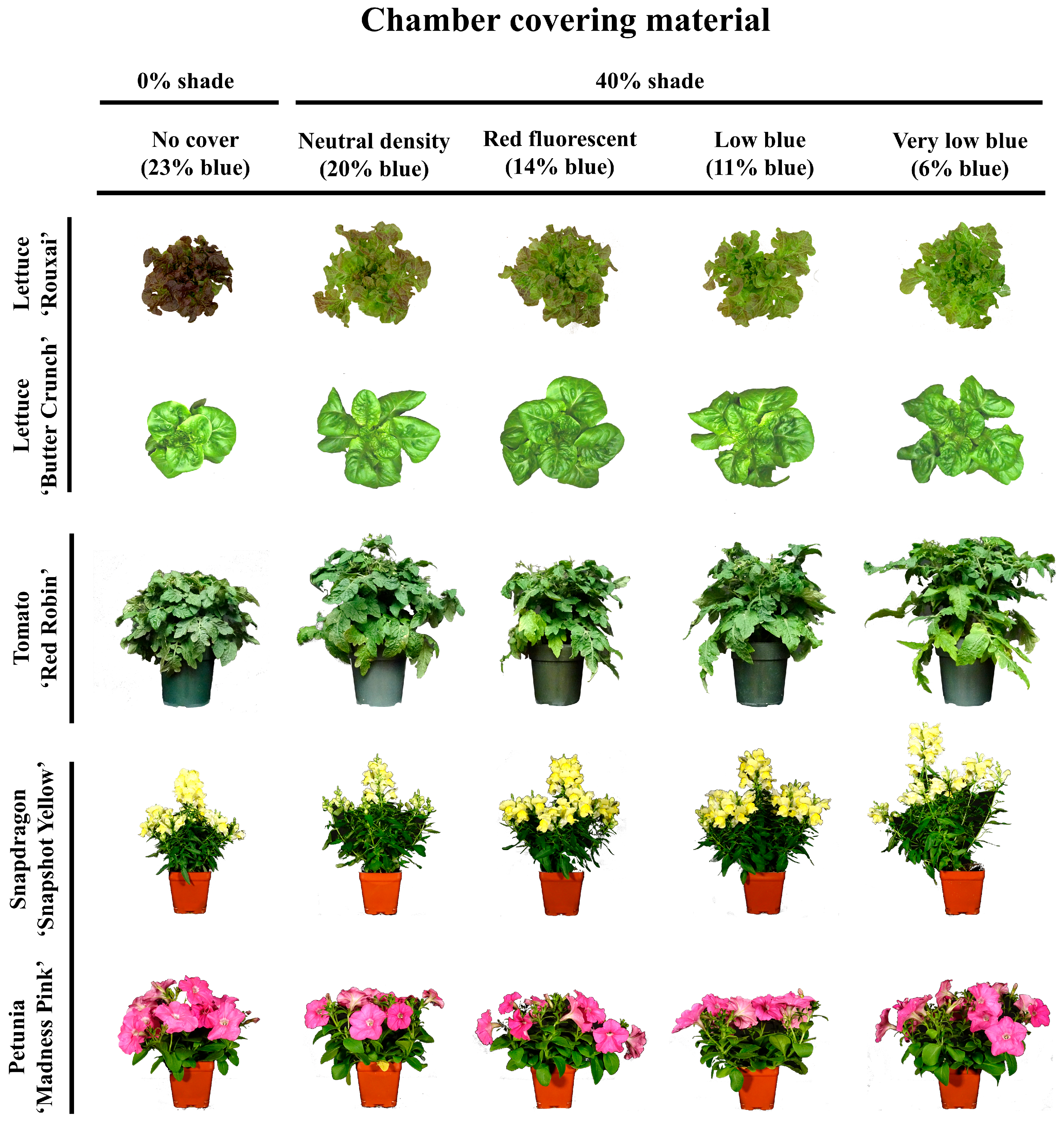 Horticulturae 11 00980 g003