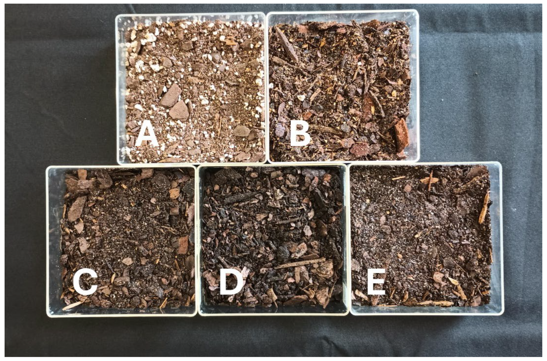 Horticulturae 11 00982 g001