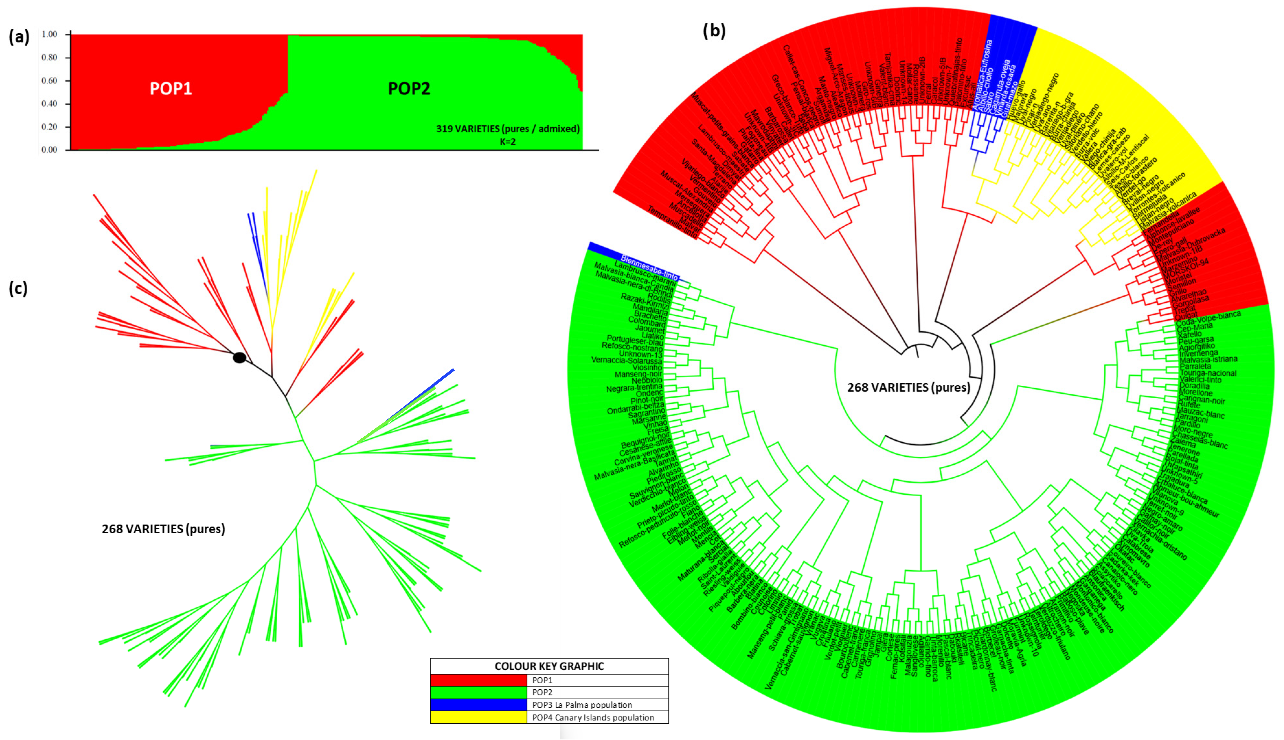 Horticulturae 11 00983 g007 Horticulturae 11 00983 g007