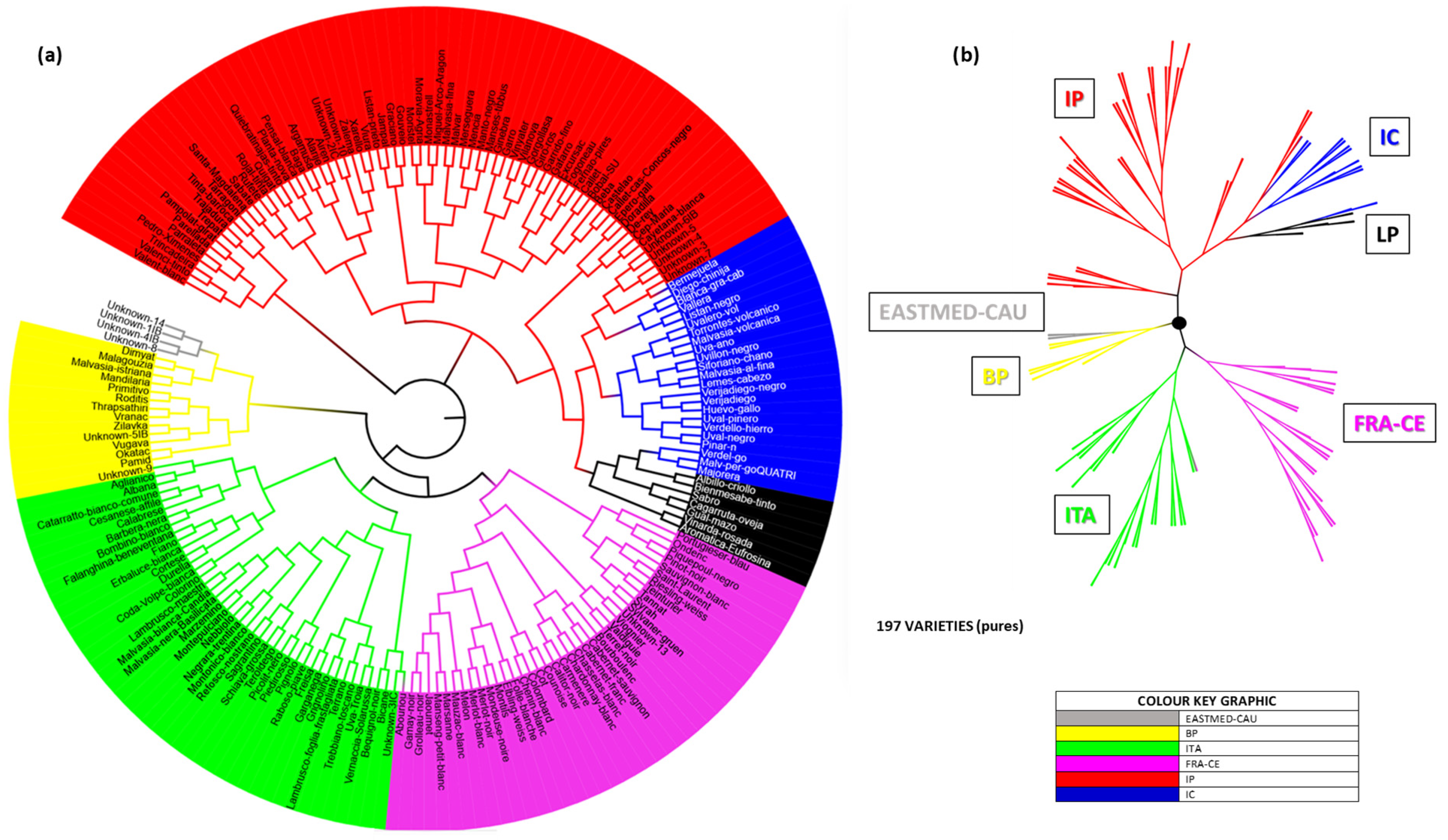Horticulturae 11 00983 g009 Horticulturae 11 00983 g009