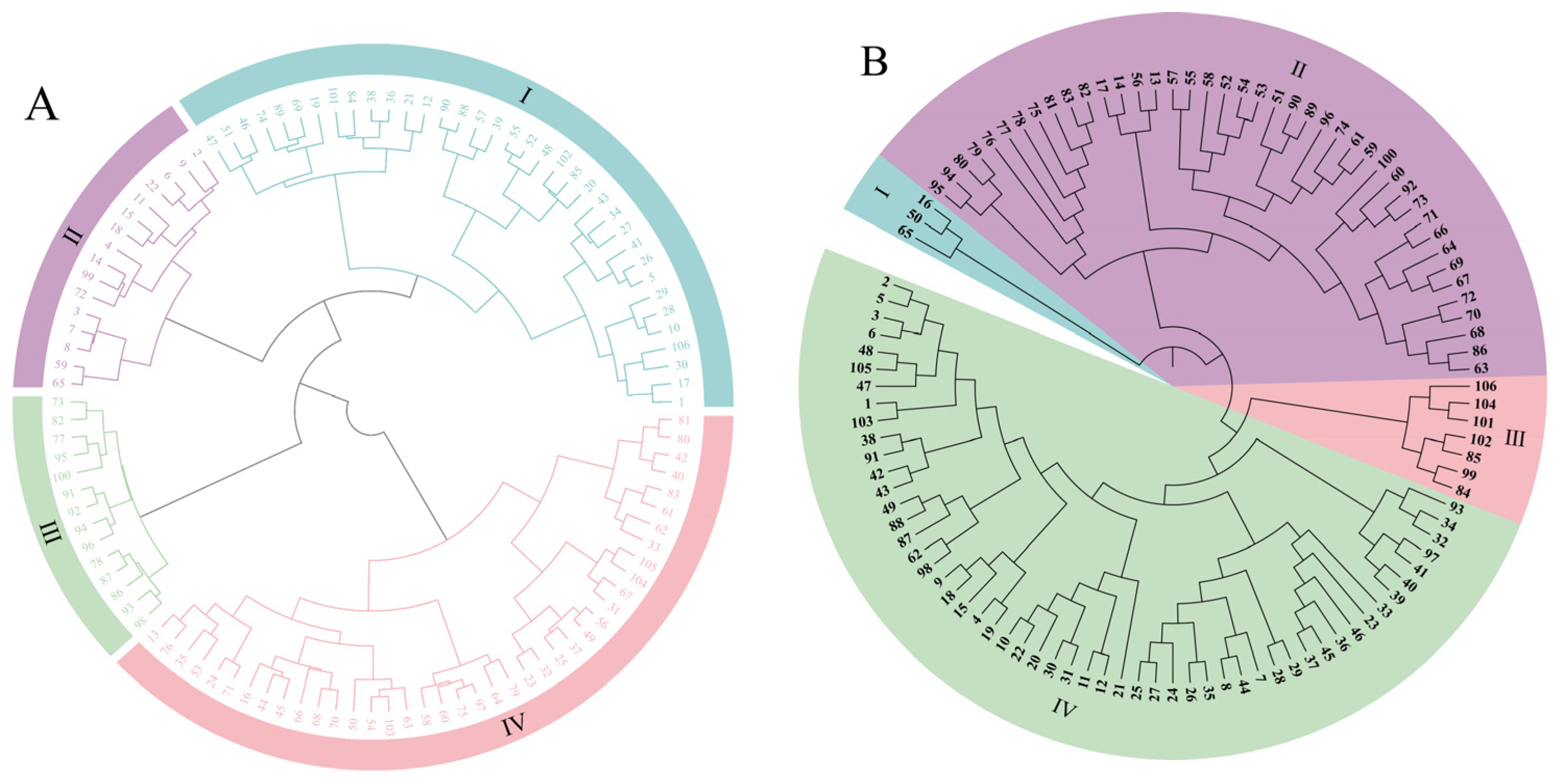 Horticulturae 11 00990 g002 Horticulturae 11 00990 g002
