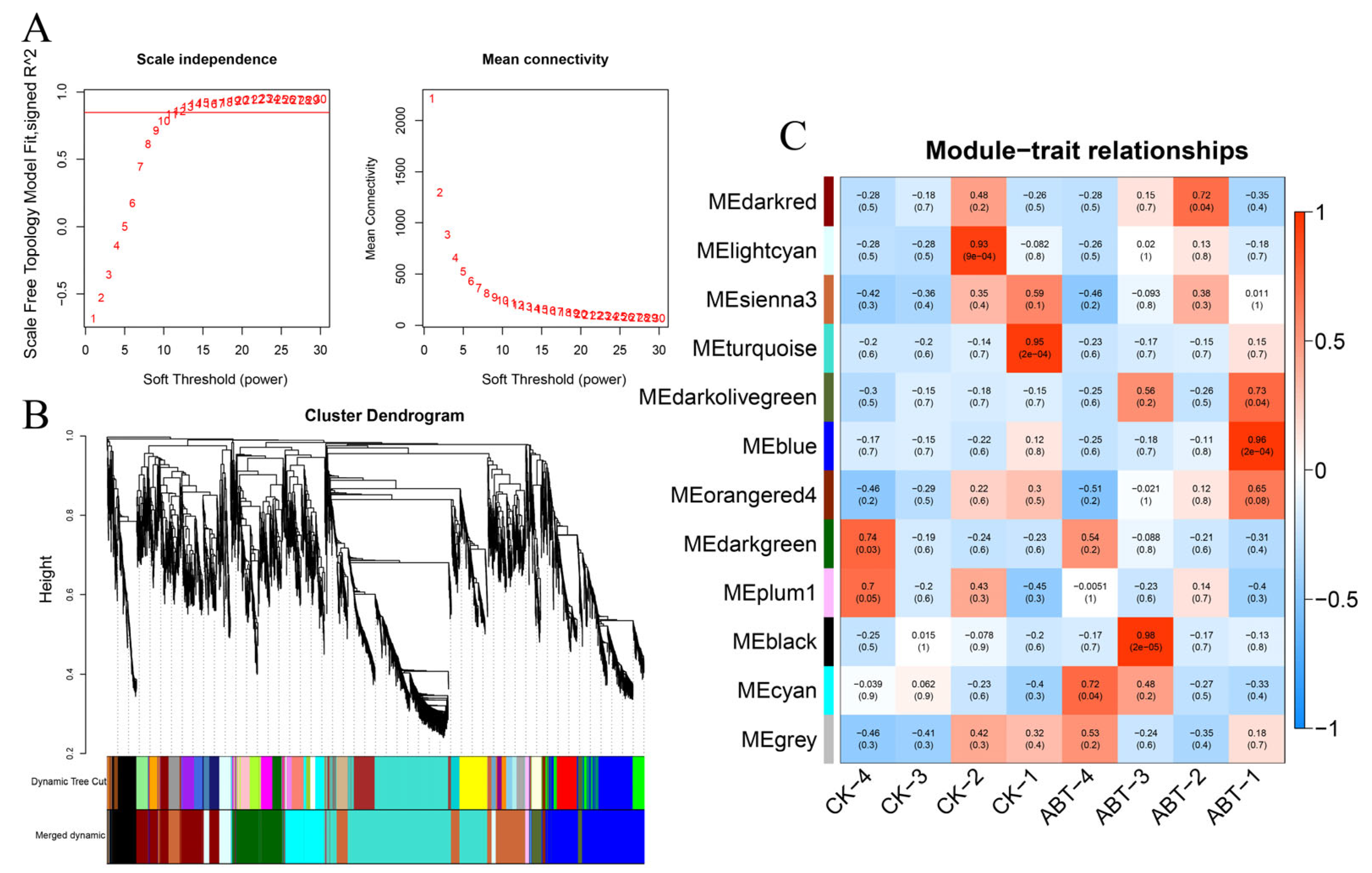 Horticulturae 11 00991 g007