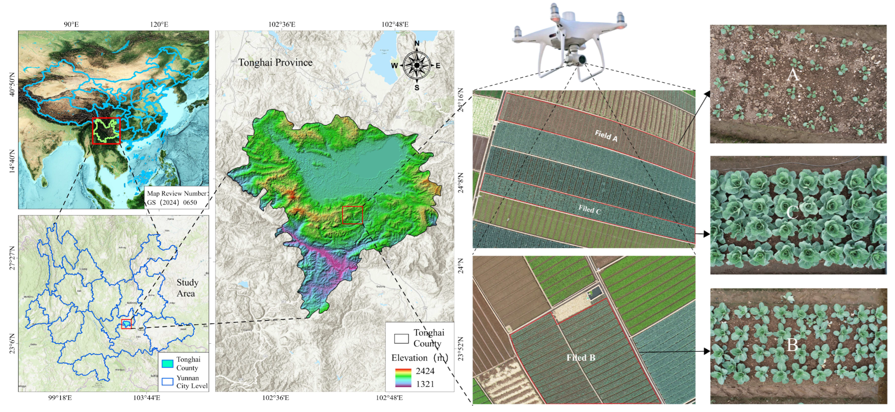 Horticulturae 11 00993 g001 Horticulturae 11 00993 g001
