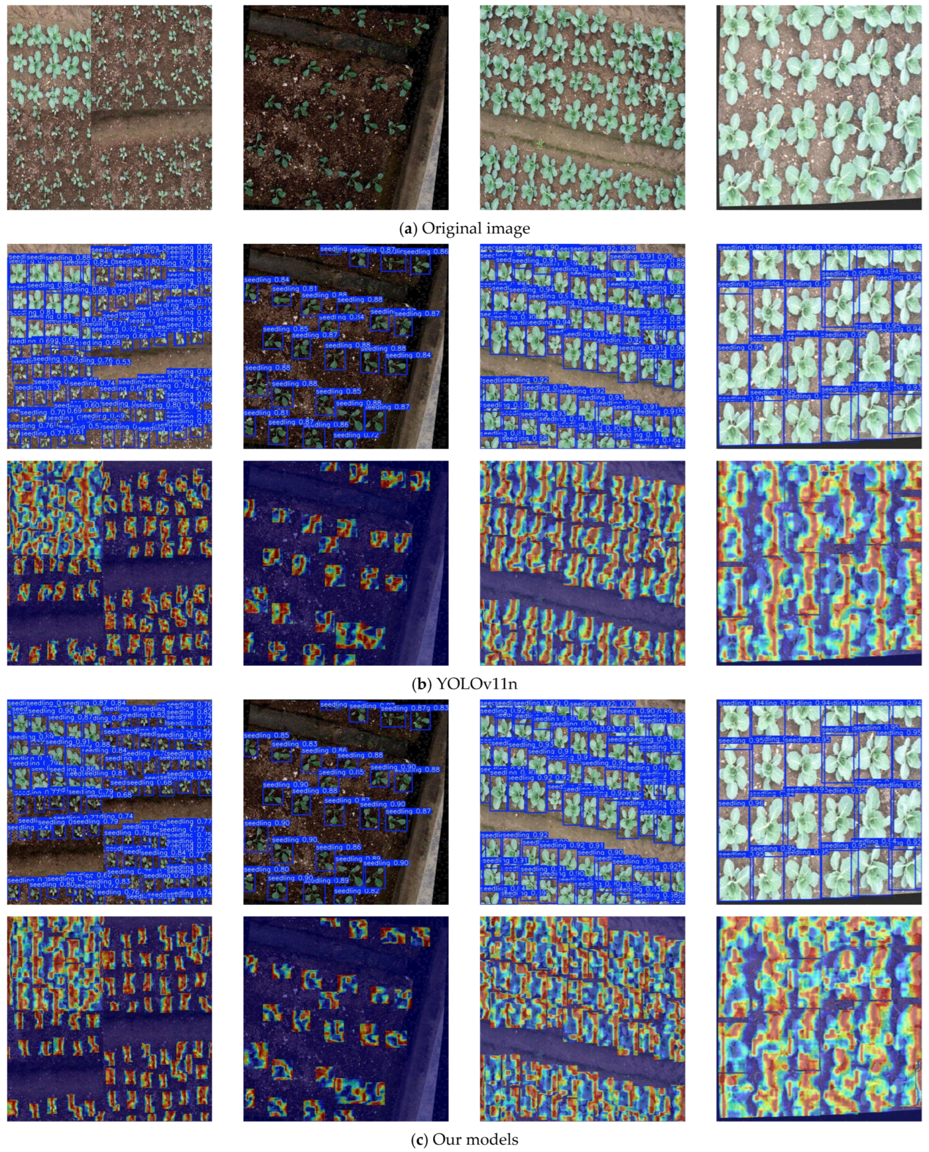 Horticulturae 11 00993 g007 Horticulturae 11 00993 g007