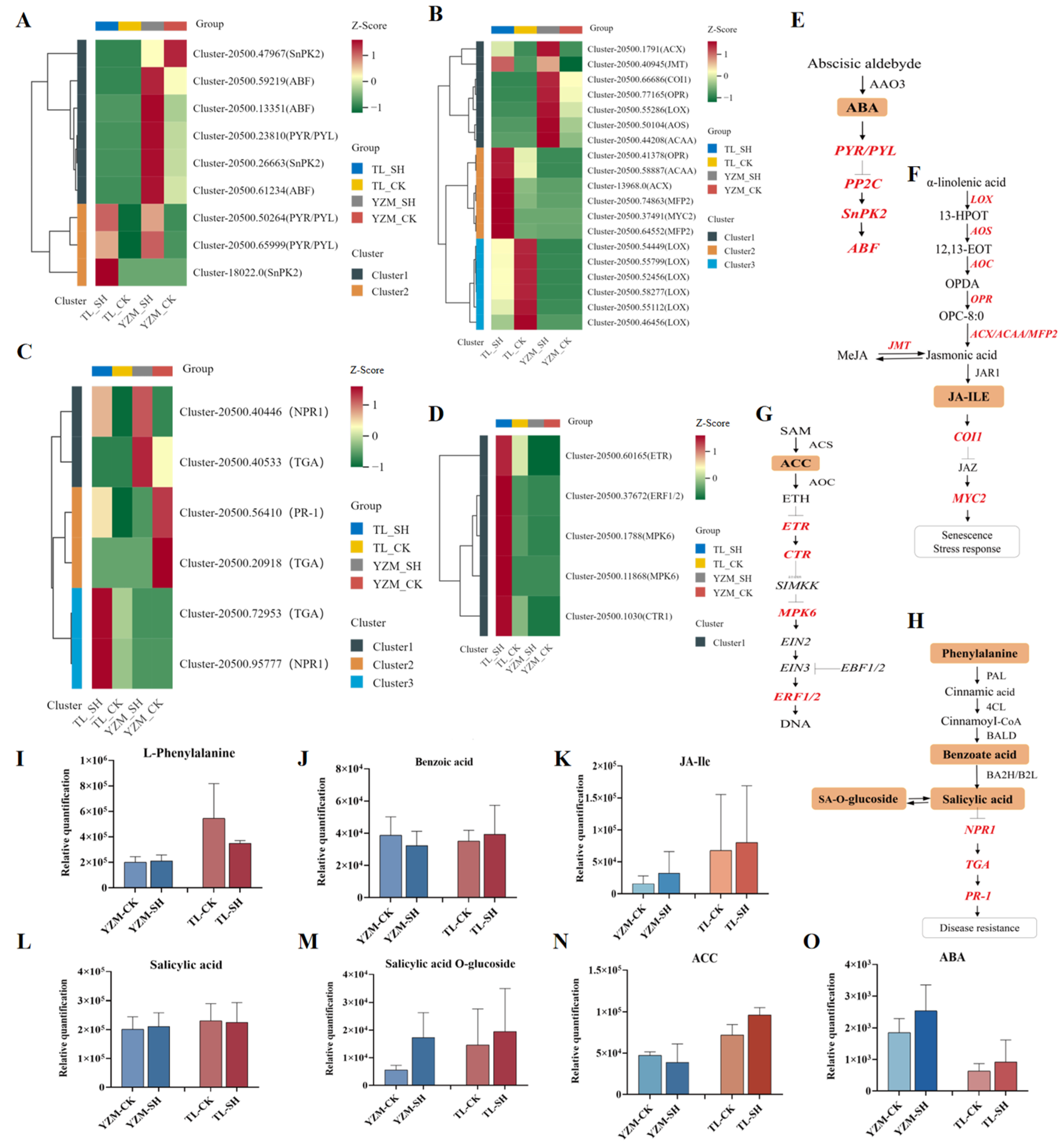 Horticulturae 11 01005 g005 Horticulturae 11 01005 g005