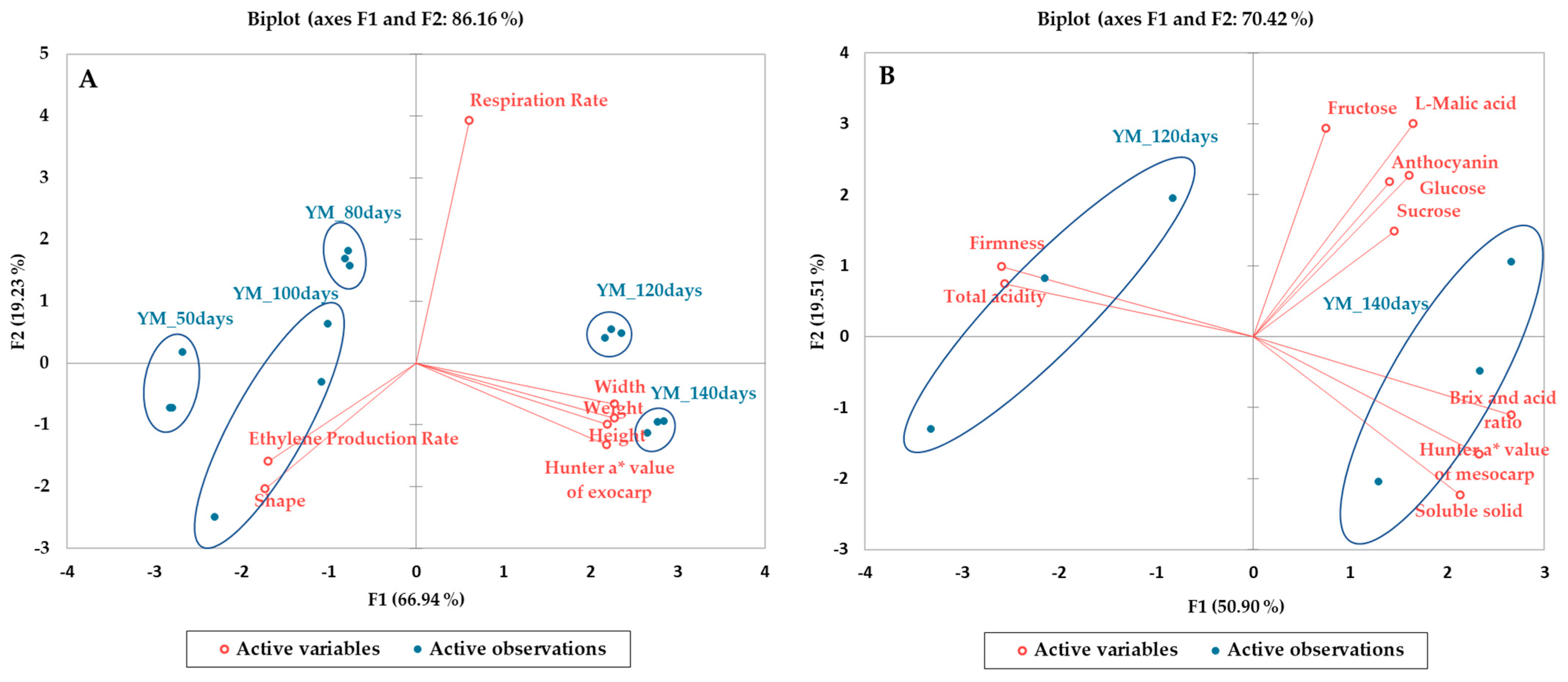 Horticulturae 11 01013 g008 Horticulturae 11 01013 g008