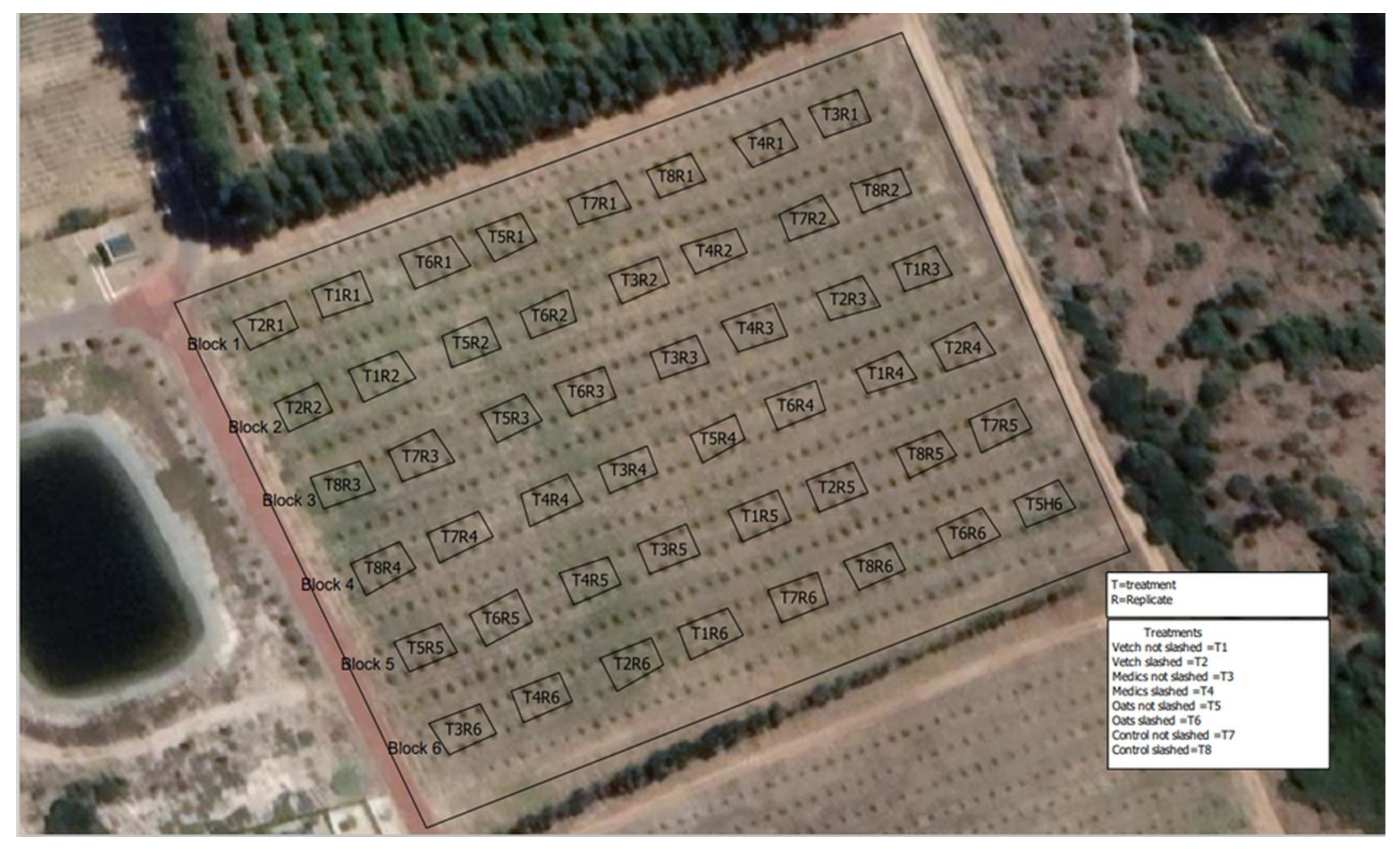 Horticulturae 11 01014 g002