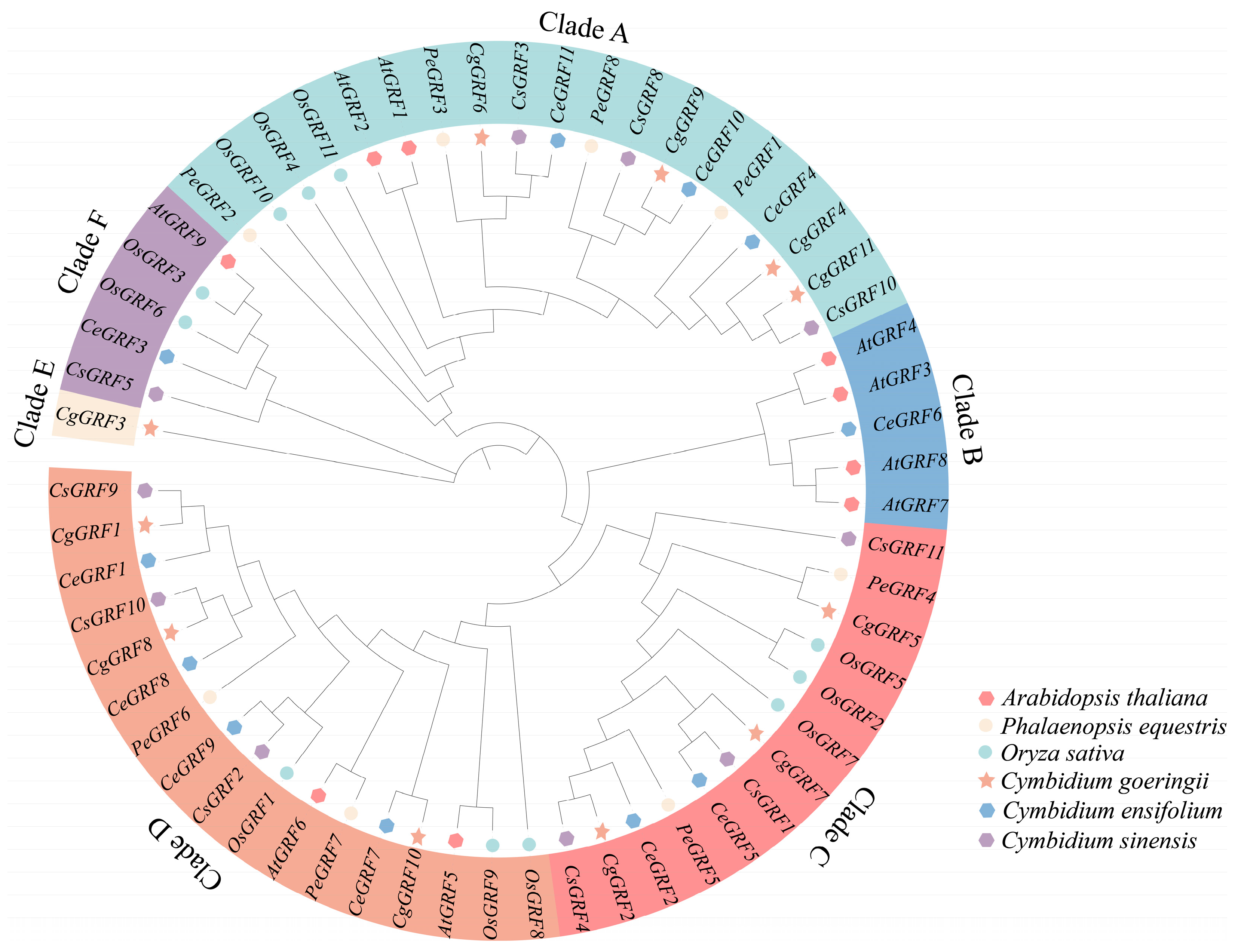 Horticulturae 11 01015 g001 Horticulturae 11 01015 g001