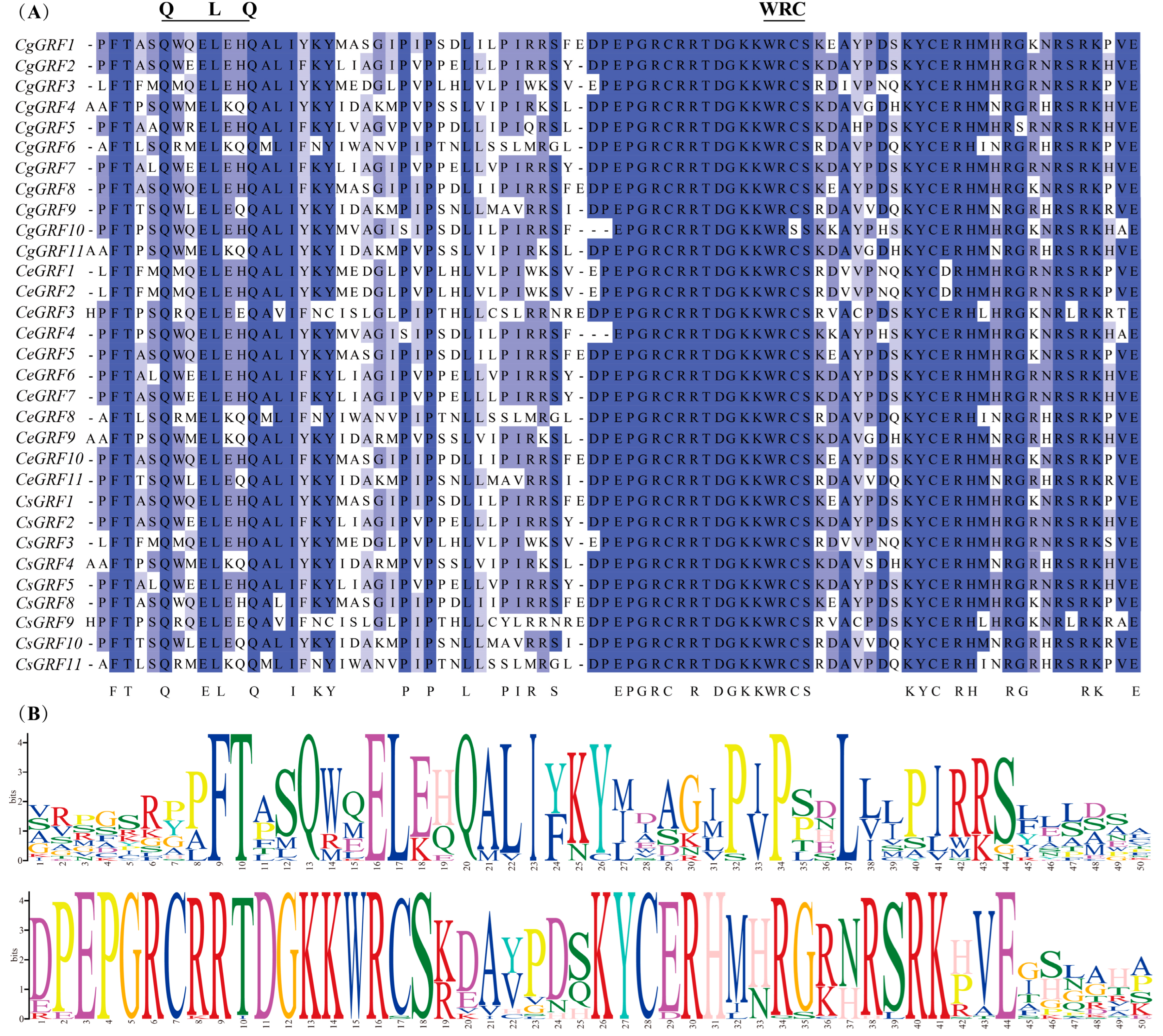 Horticulturae 11 01015 g002 Horticulturae 11 01015 g002
