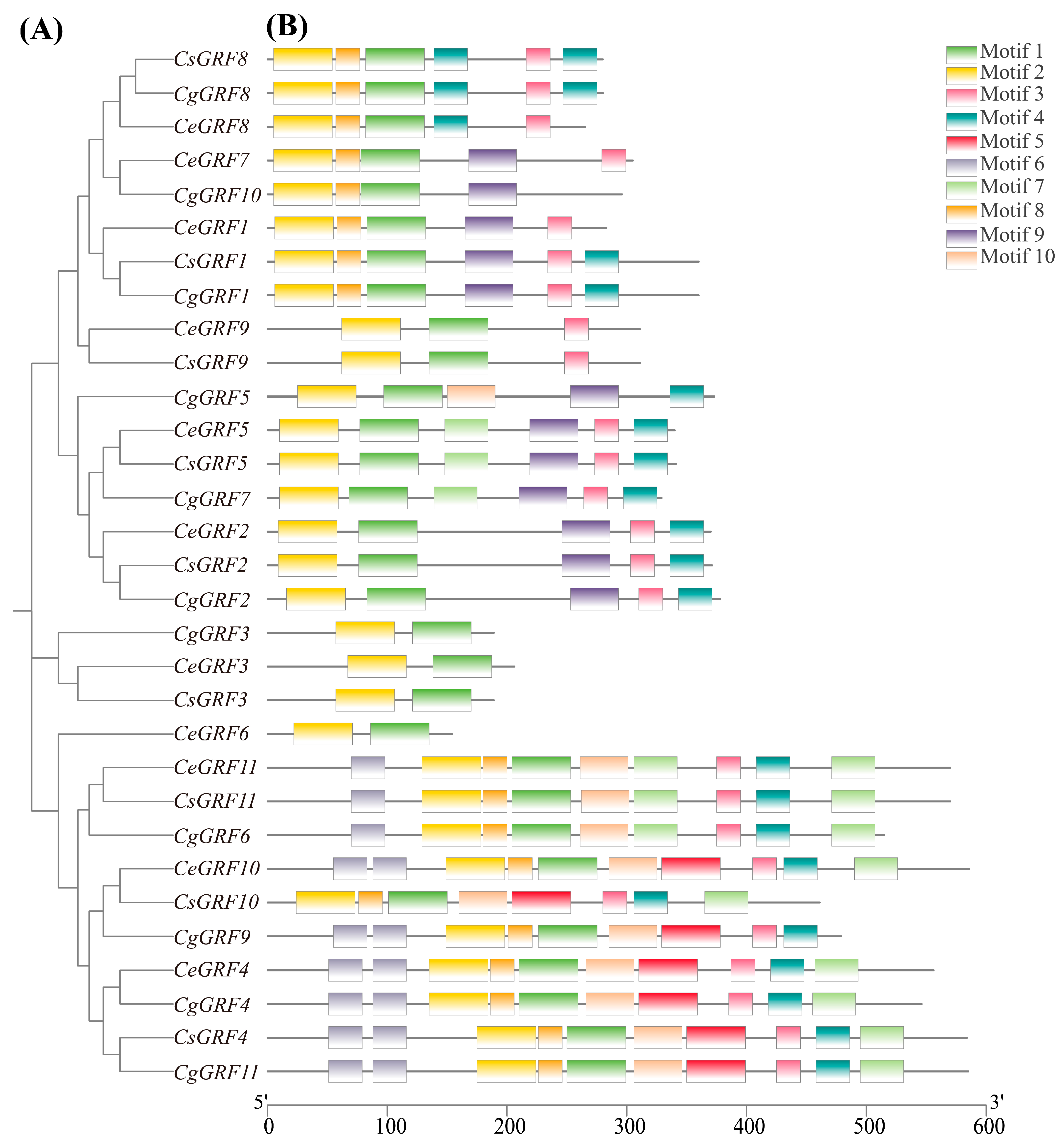 Horticulturae 11 01015 g003 Horticulturae 11 01015 g003