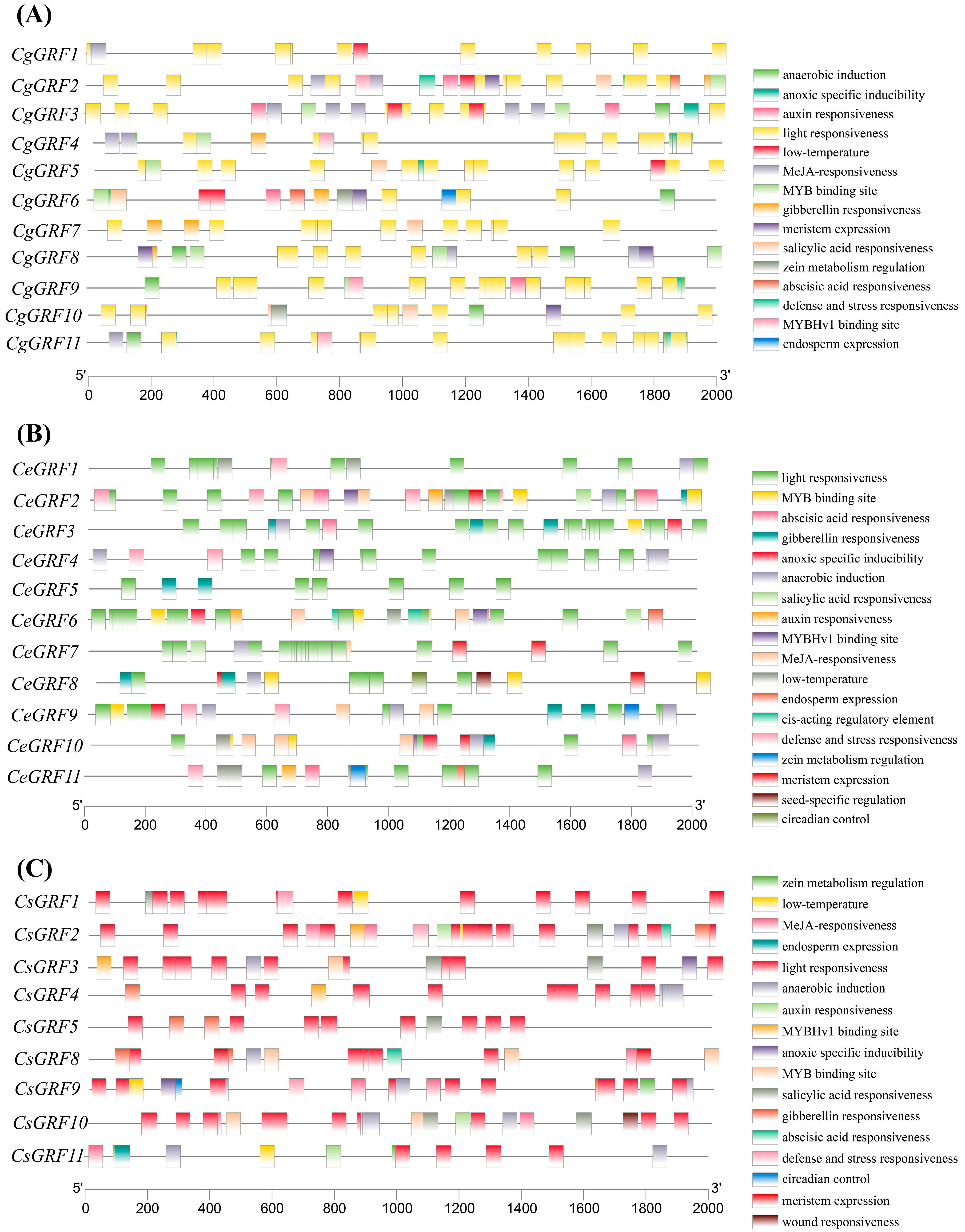 Horticulturae 11 01015 g004 Horticulturae 11 01015 g004