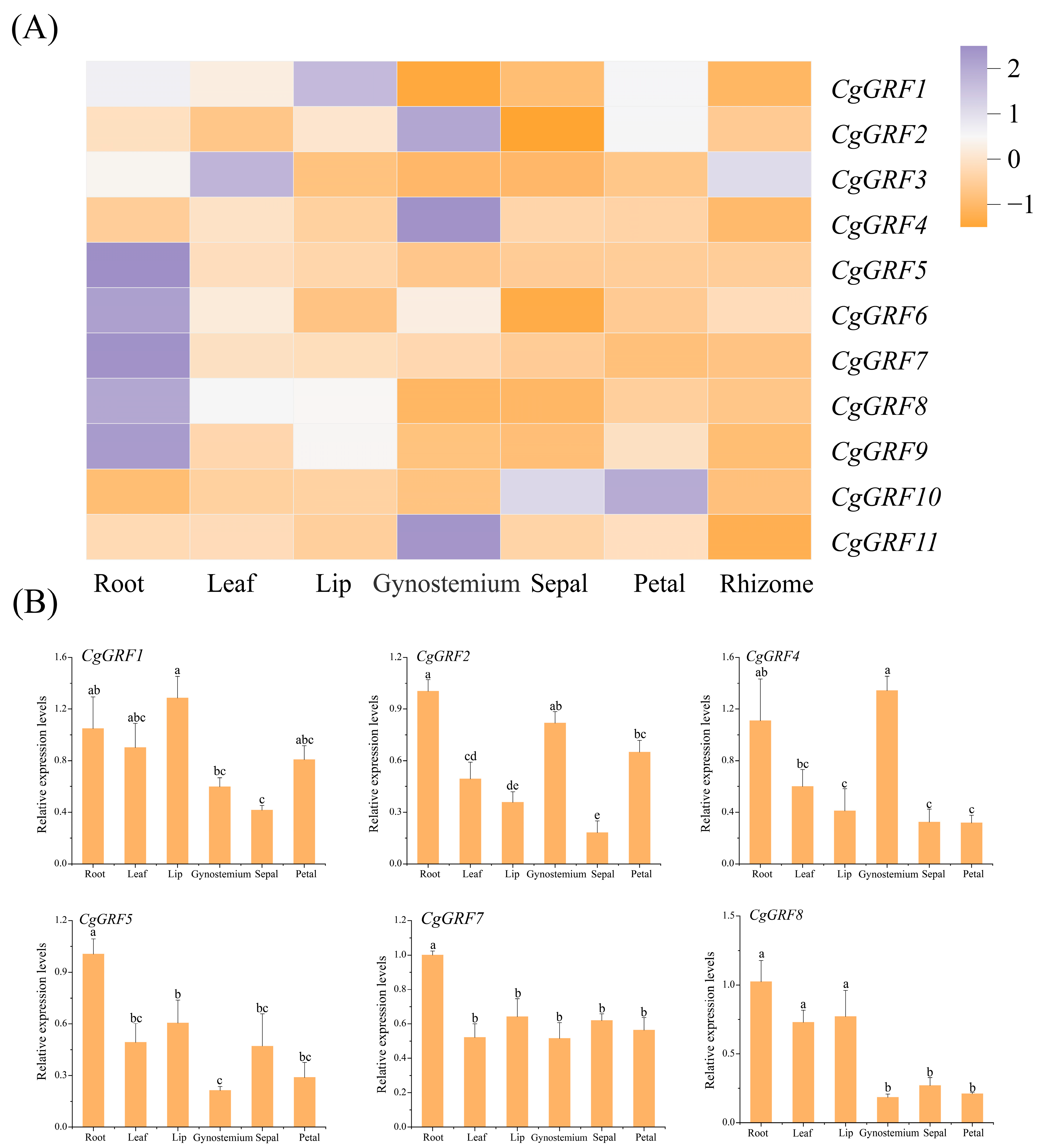 Horticulturae 11 01015 g006 Horticulturae 11 01015 g006