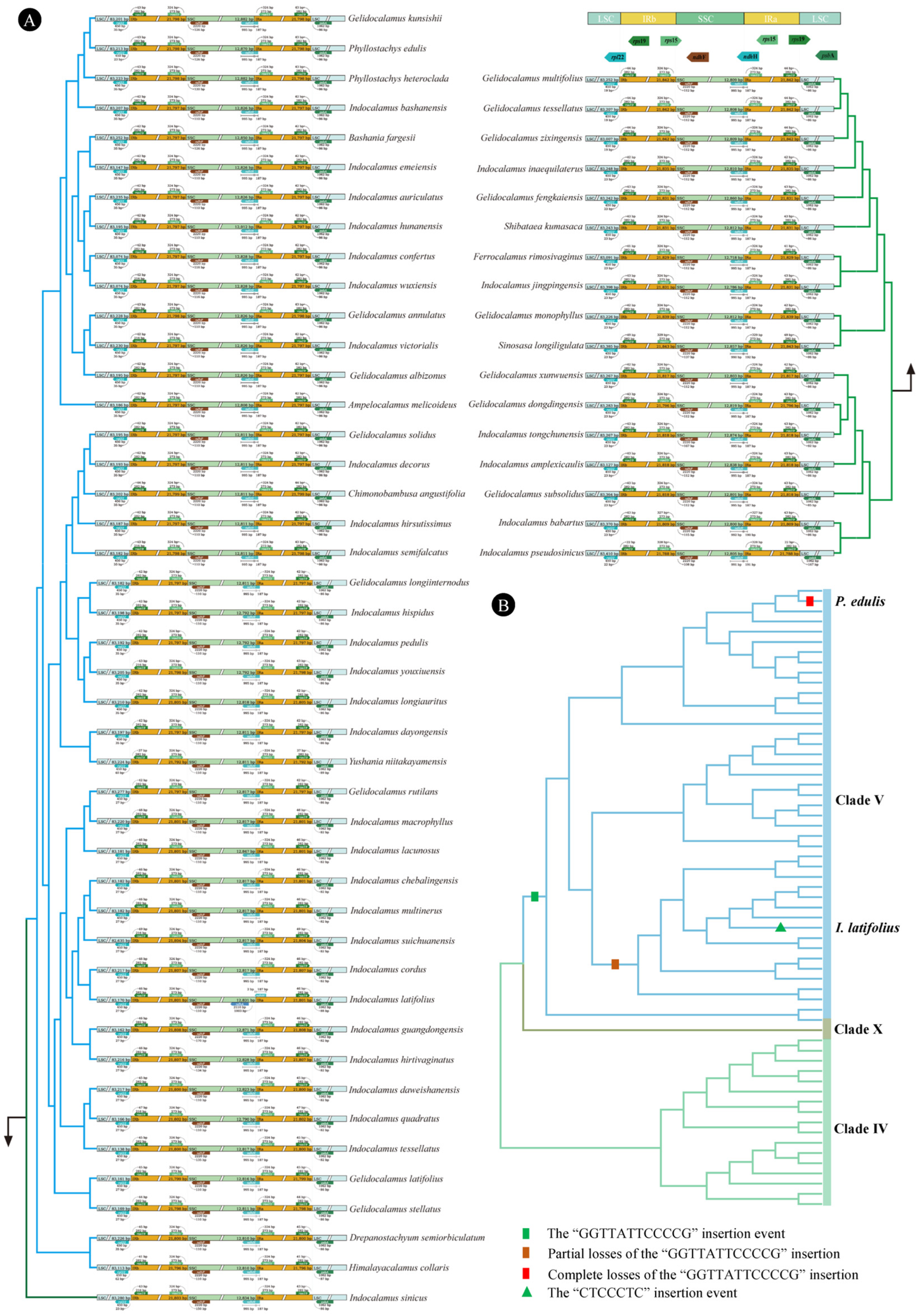 Horticulturae 11 01018 g004