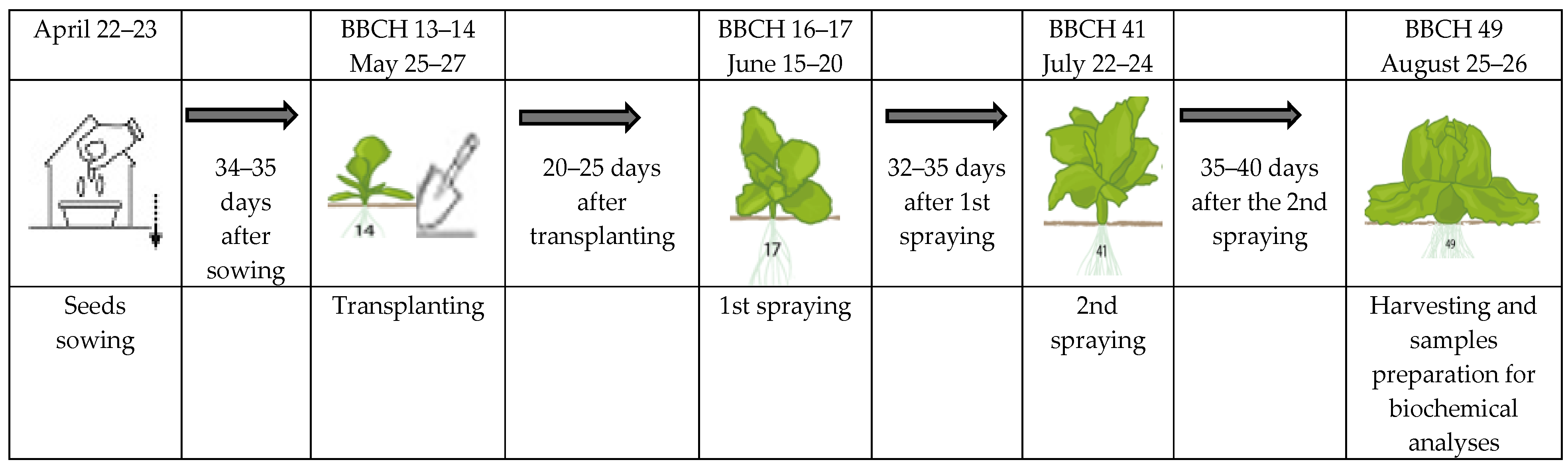 Horticulturae 11 01020 g001 Horticulturae 11 01020 g001
