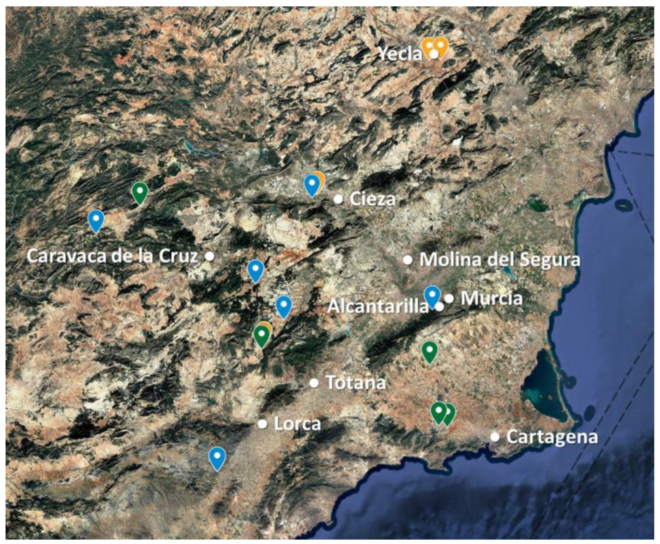 Horticulturae 11 01021 g002 Horticulturae 11 01021 g002