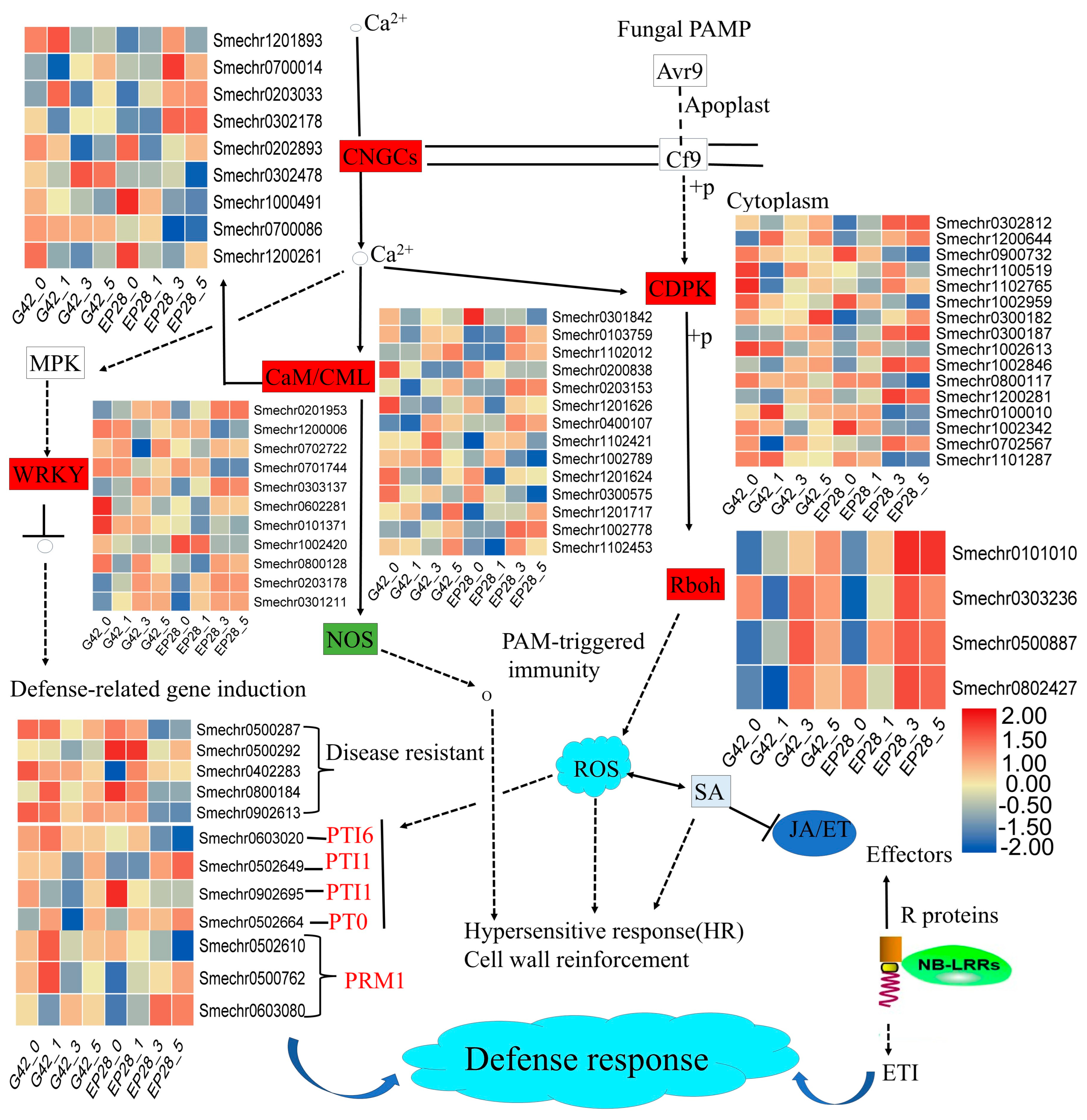 Horticulturae 11 01026 g007 Horticulturae 11 01026 g007
