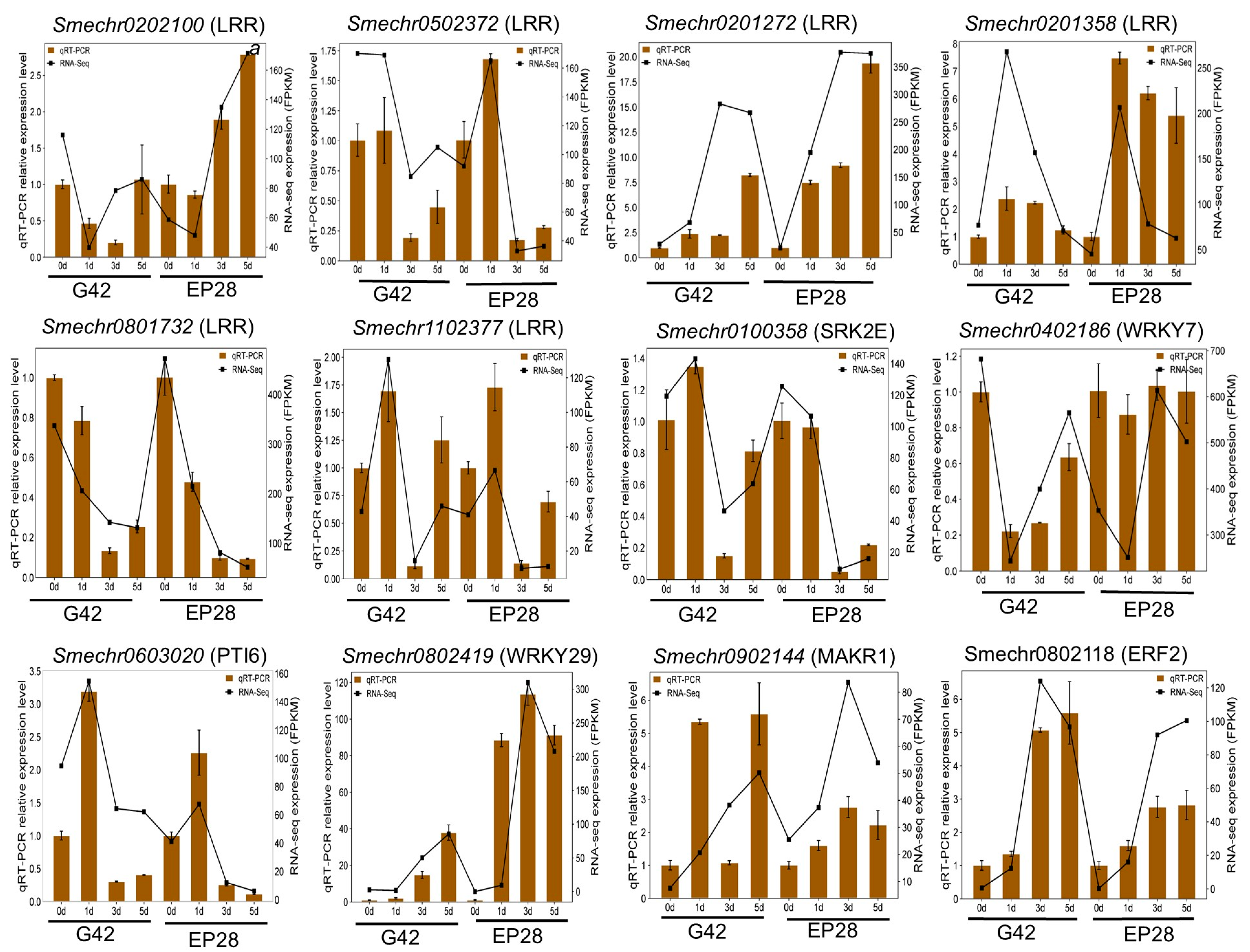 Horticulturae 11 01026 g011 Horticulturae 11 01026 g011