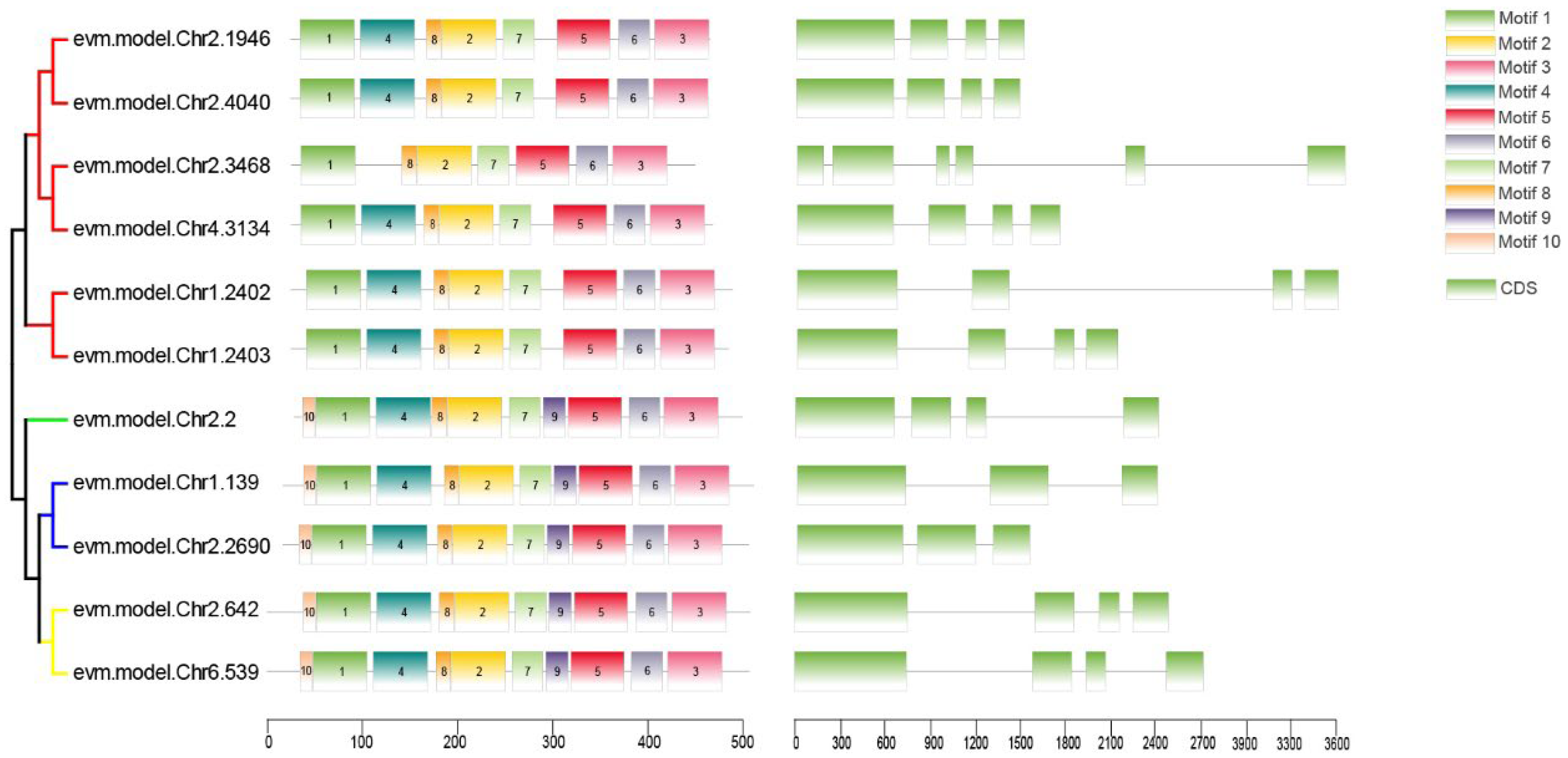 Horticulturae 11 01027 g004