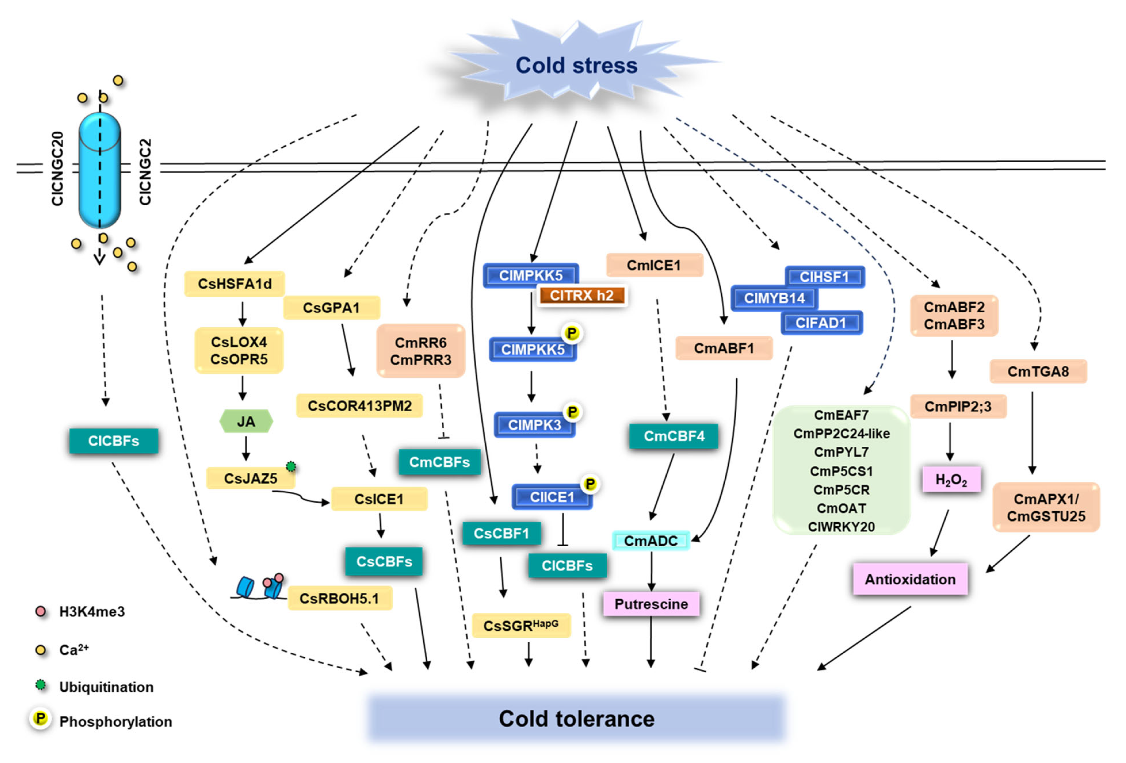 Horticulturae 11 01032 g001 Horticulturae 11 01032 g001