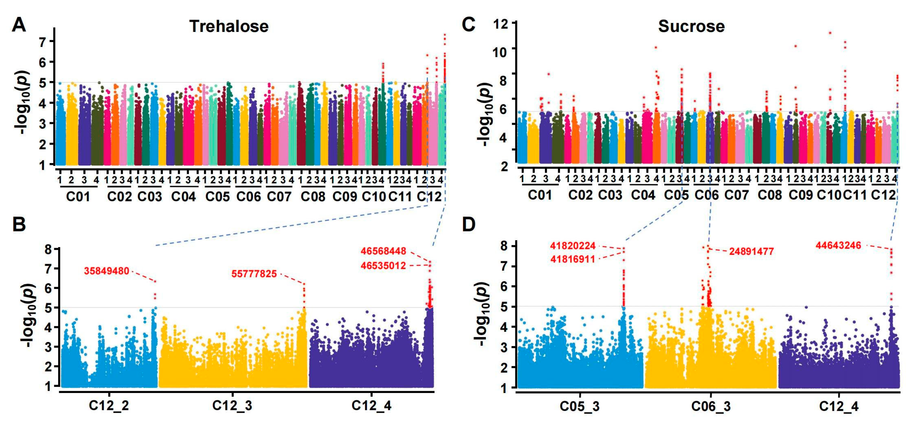 Horticulturae 11 01033 g002 Horticulturae 11 01033 g002